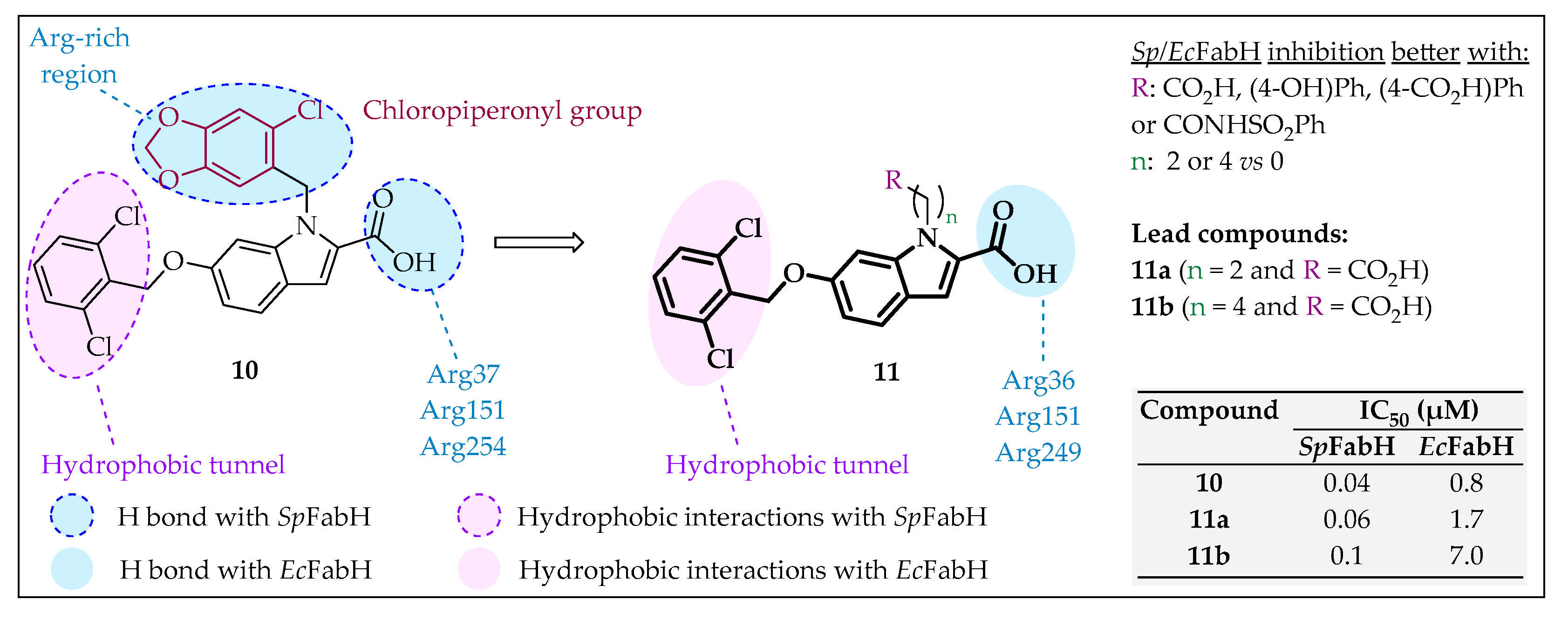 Pharmaceuticals 16 00425 g011