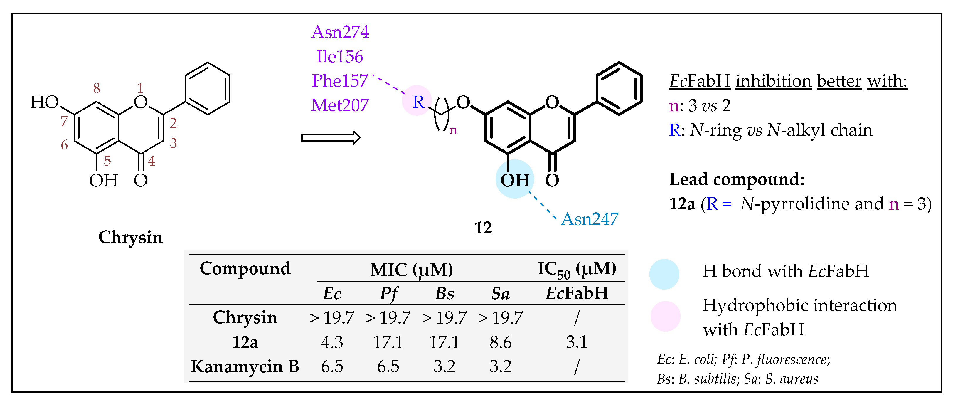 Pharmaceuticals 16 00425 g012