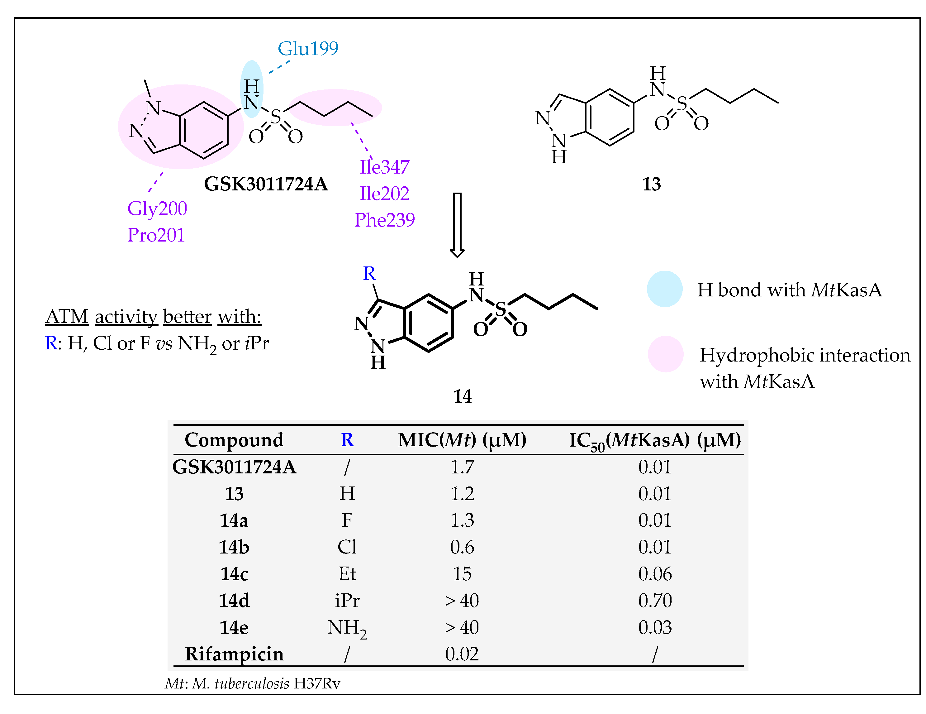 Pharmaceuticals 16 00425 g013