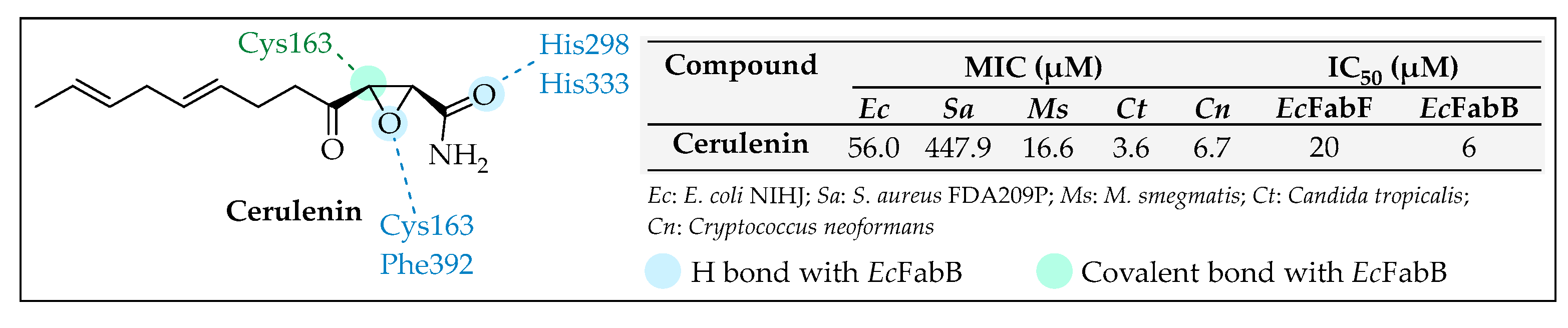 Pharmaceuticals 16 00425 g016