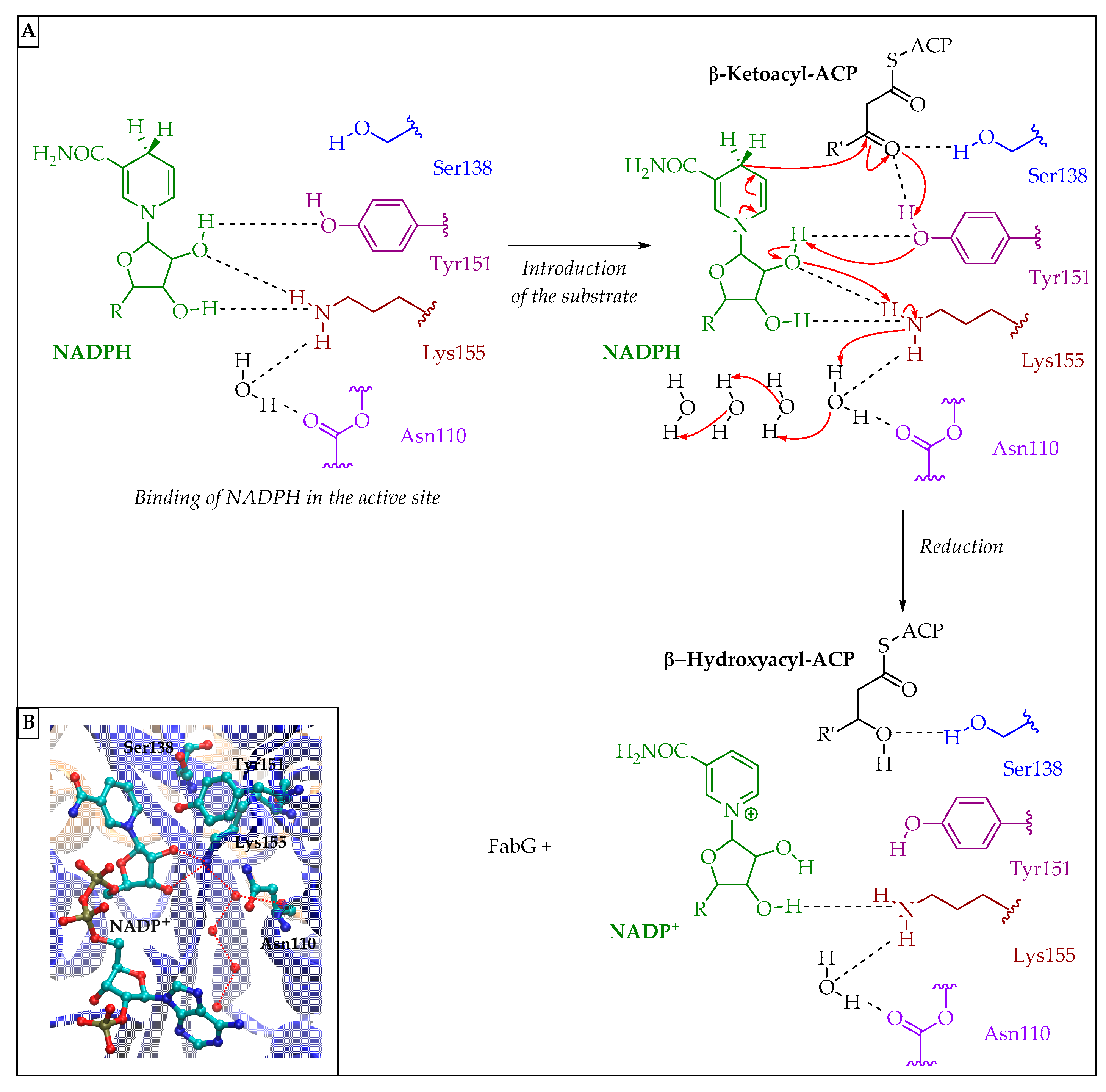 Pharmaceuticals 16 00425 g018
