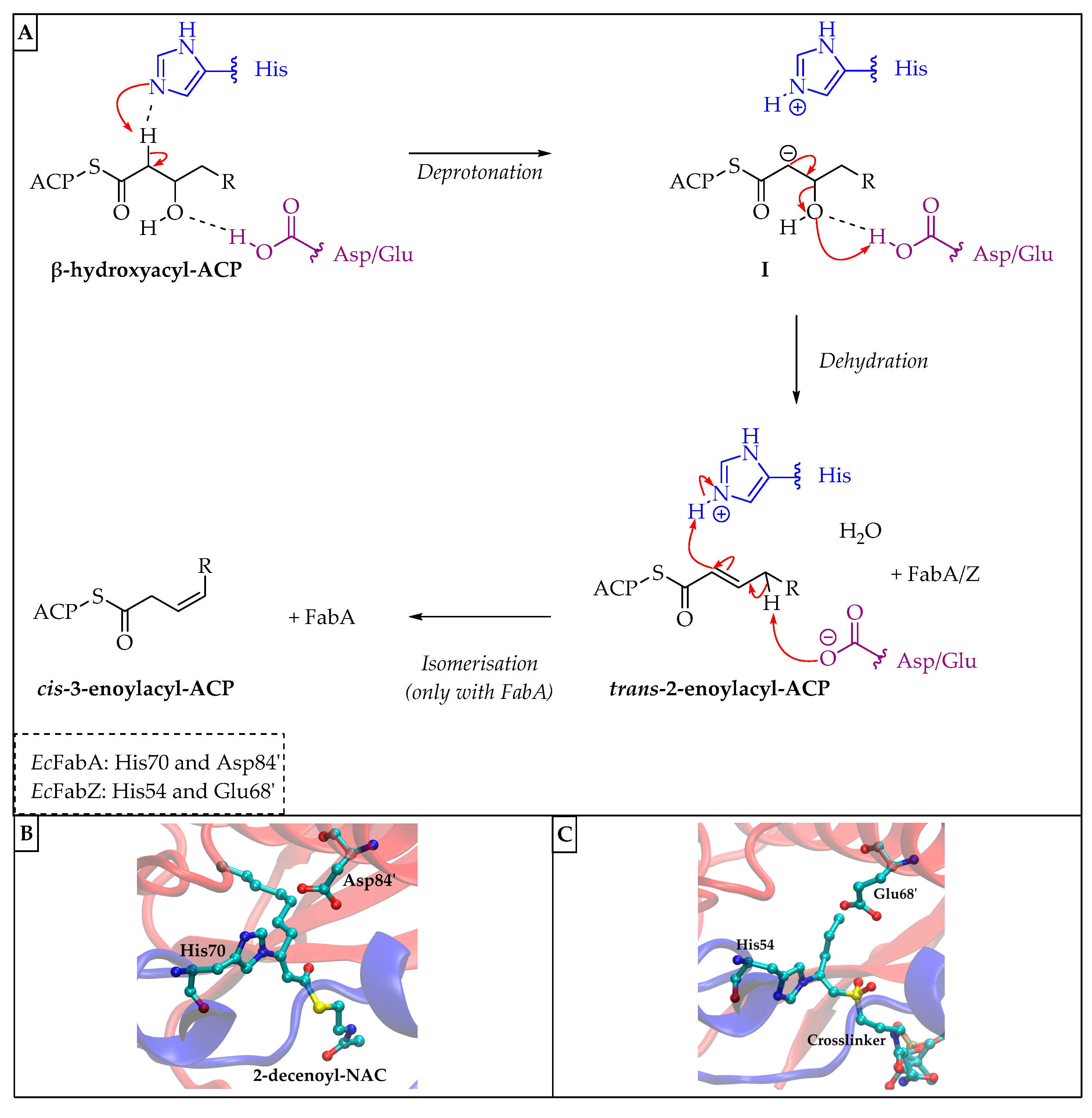 Pharmaceuticals 16 00425 g021