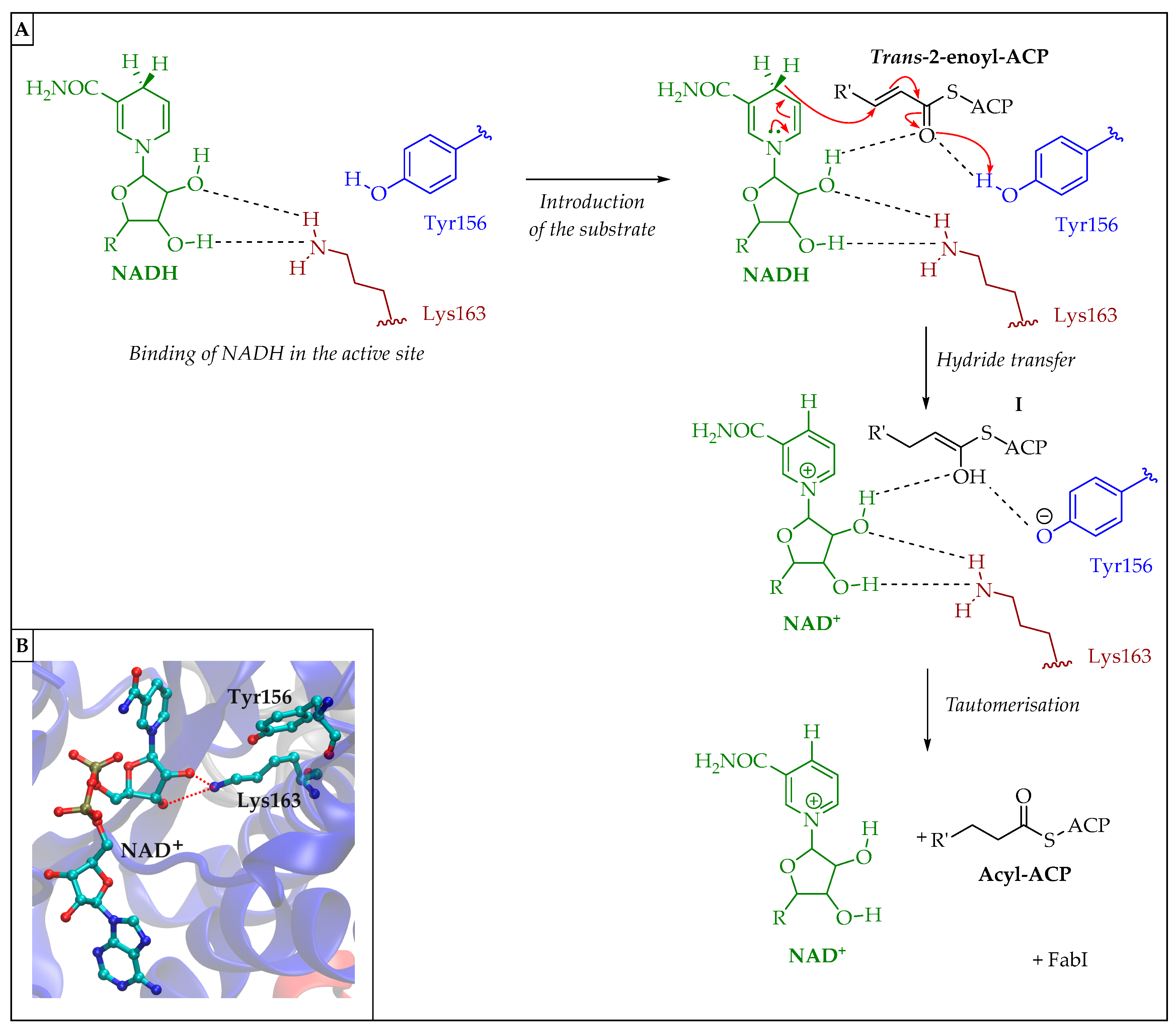 Pharmaceuticals 16 00425 g025
