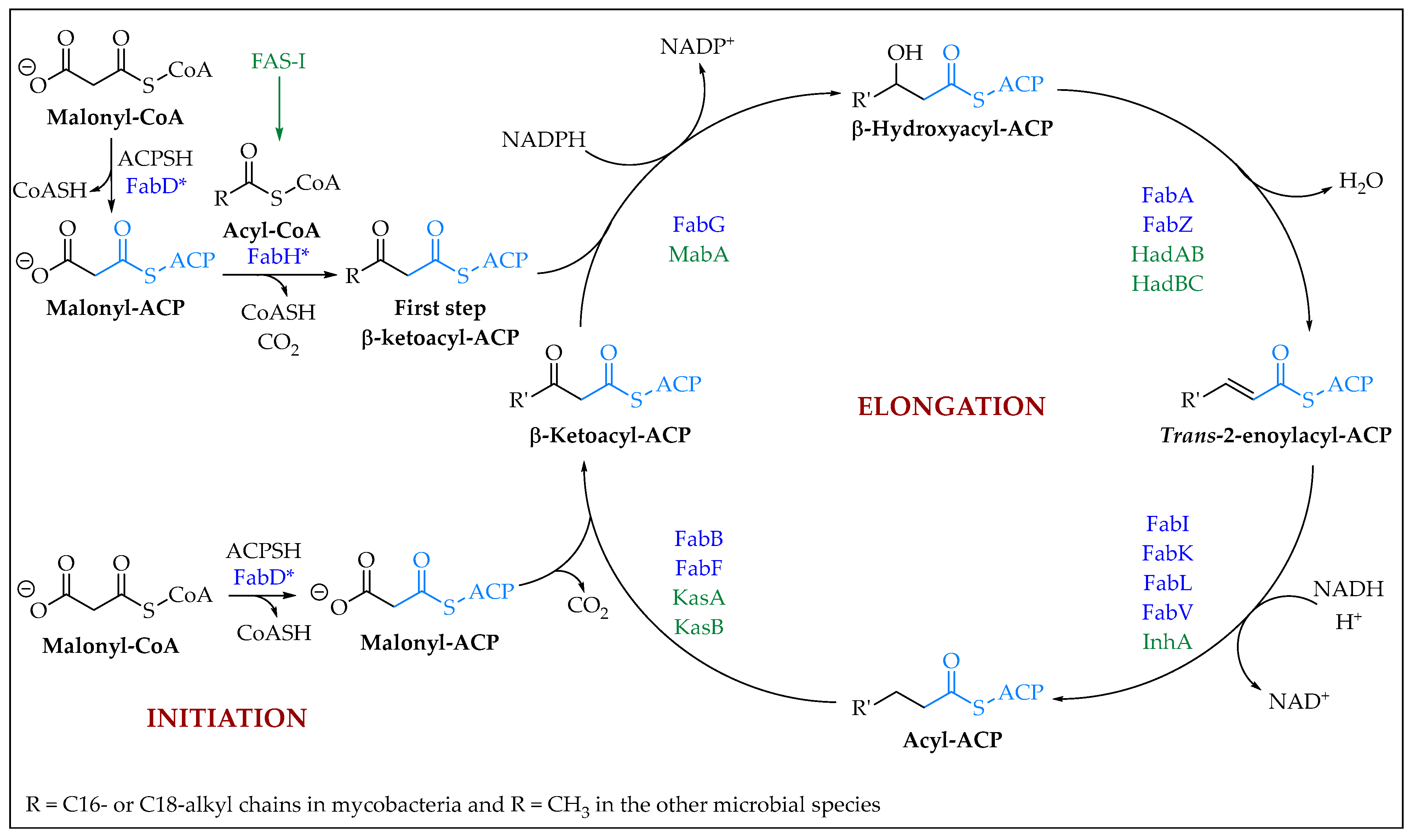 Pharmaceuticals 16 00425 sch001