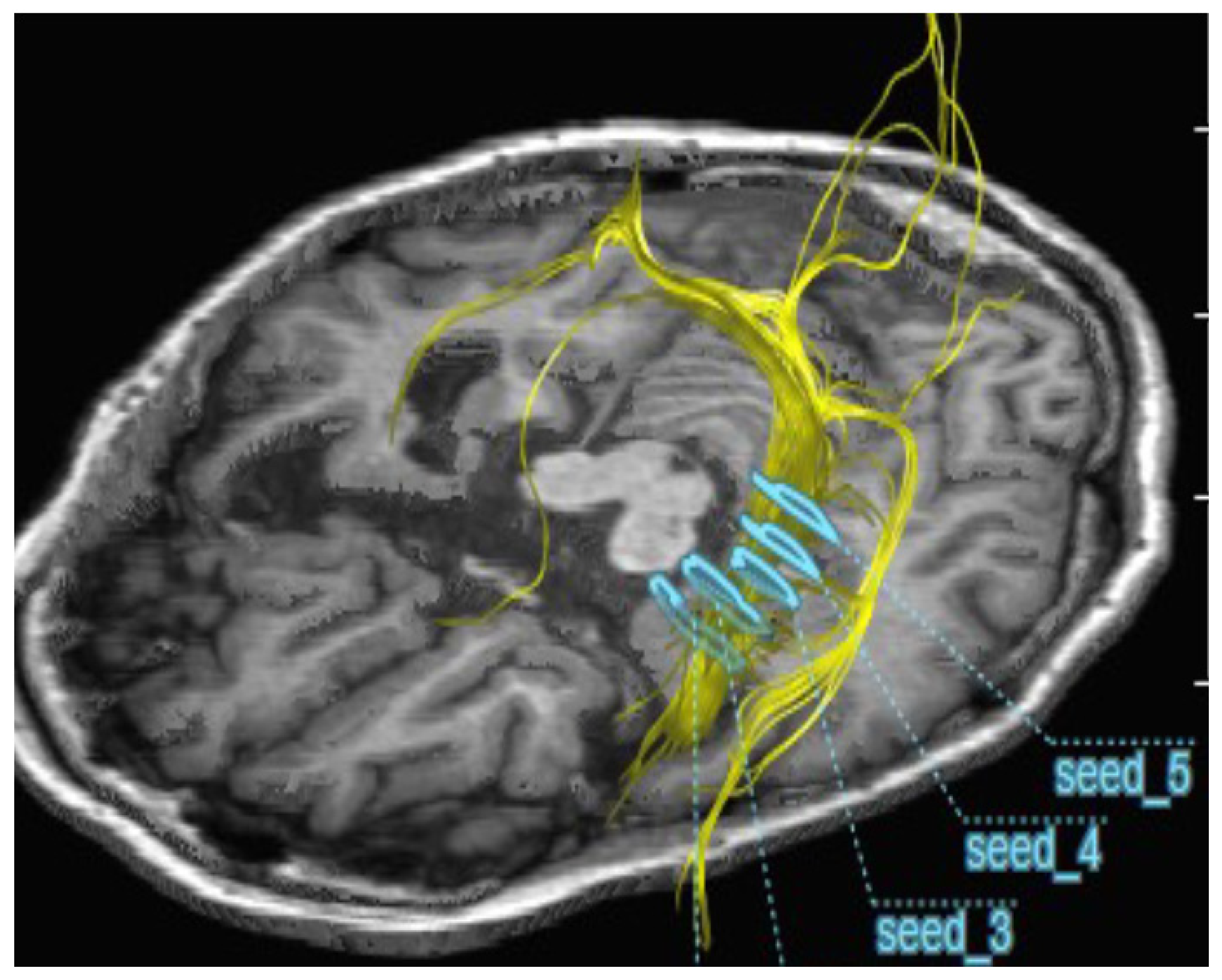 Pharmaceuticals 16 00434 g002