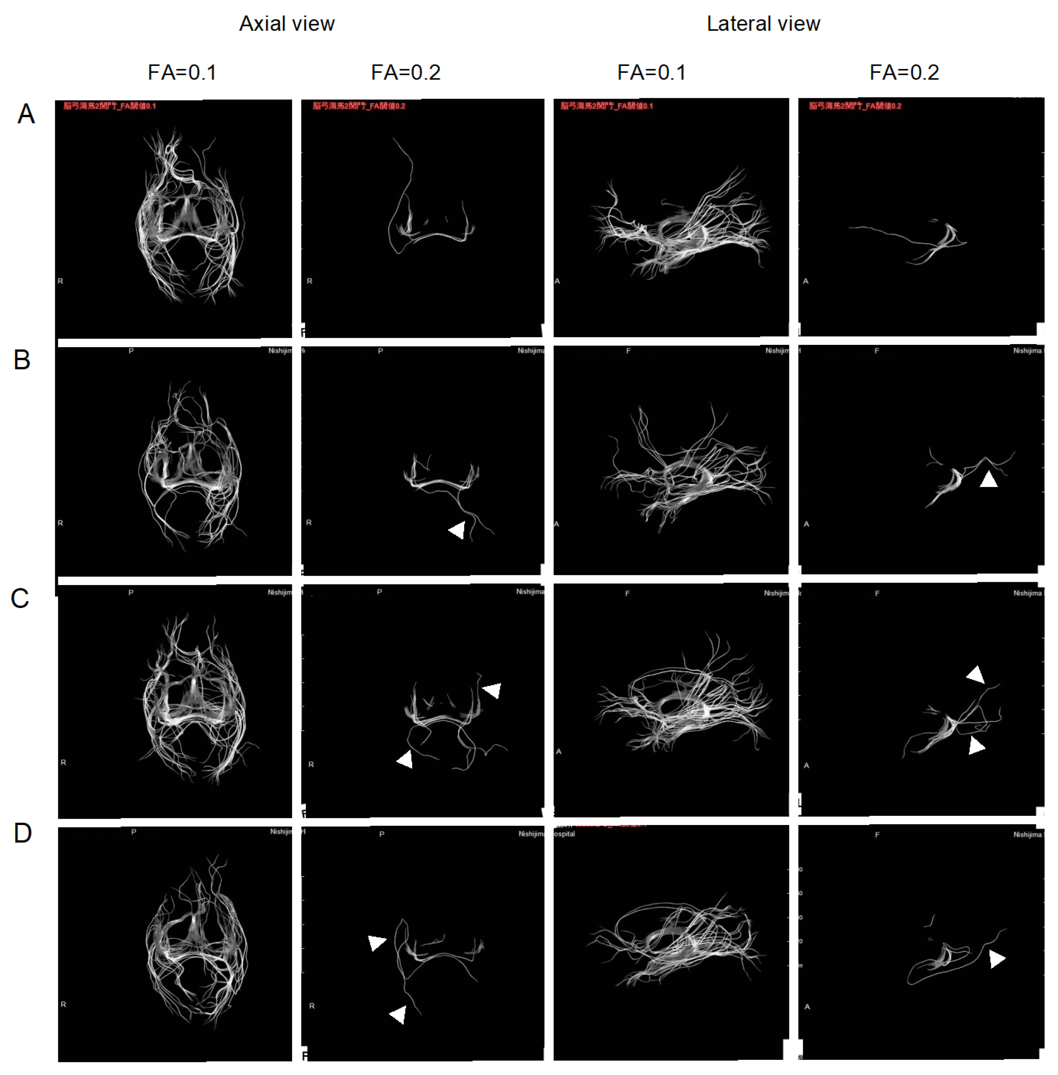 Pharmaceuticals 16 00434 g003a