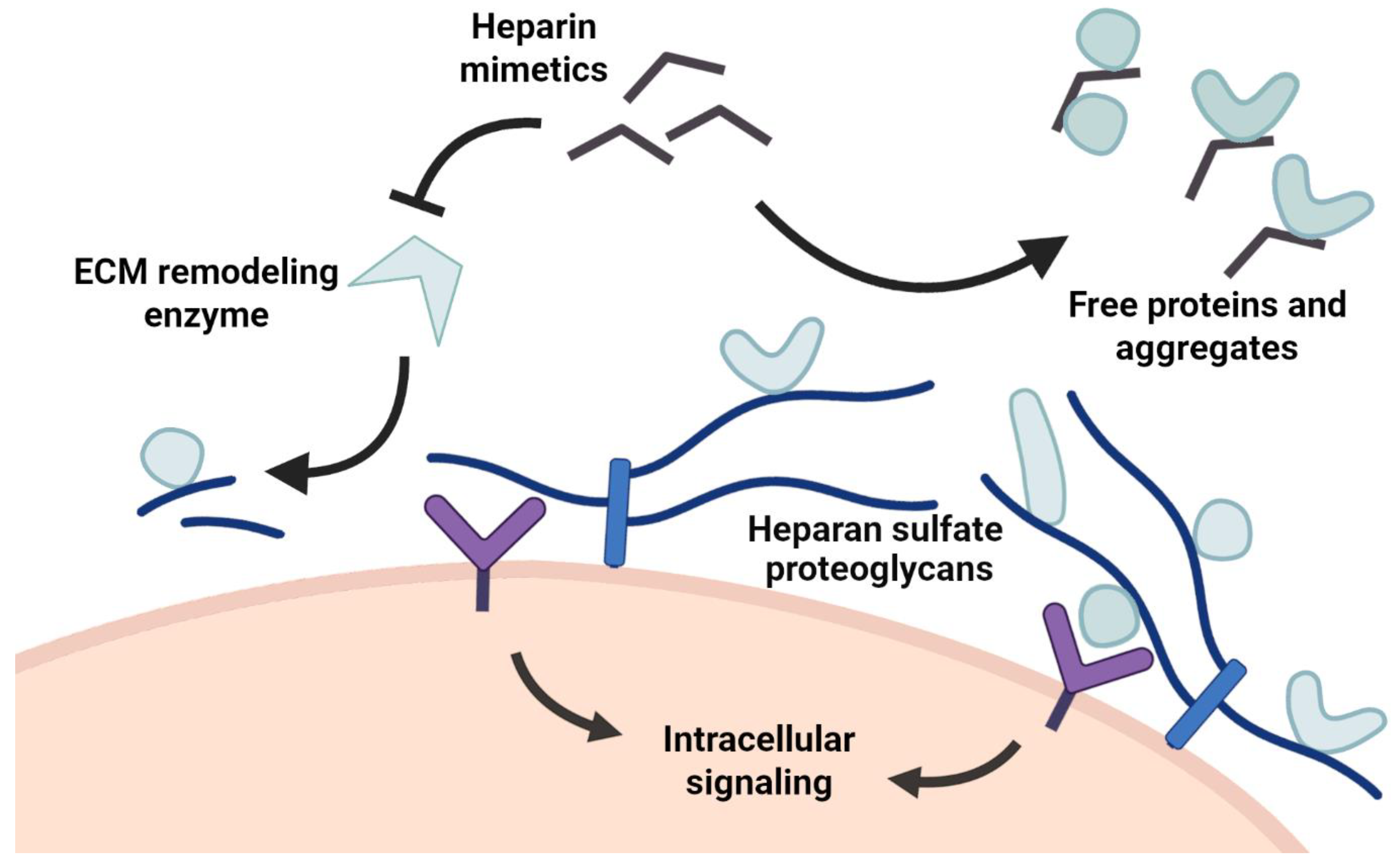 Pharmaceuticals 16 00471 g002