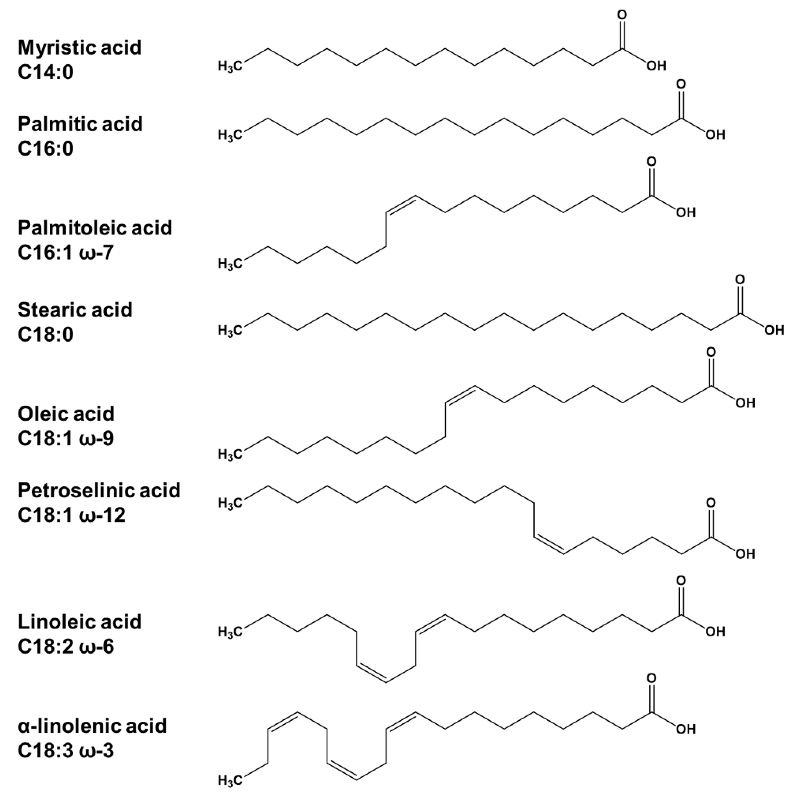 Pharmaceuticals 16 00478 g001 Pharmaceuticals 16 00478 g001