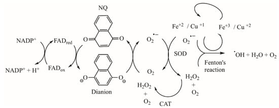 1,4‐Naphthoquinone Analogs and Their Application as Antibacterial Agents -  Wang - 2022 - ChemistrySelect - Wiley Online Library