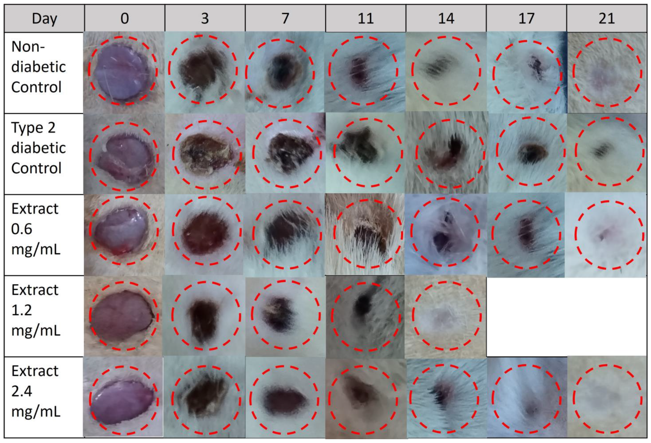 Pharmaceuticals 16 00514 g007 Pharmaceuticals 16 00514 g007