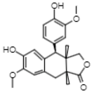 Pharmaceuticals 16 00514 i008 Pharmaceuticals 16 00514 i008