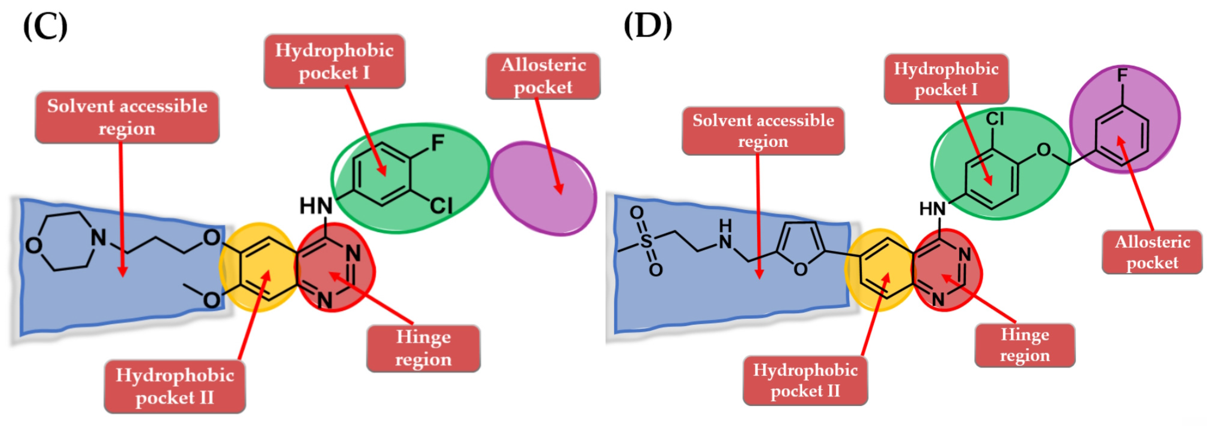 Pharmaceuticals 16 00534 g002b