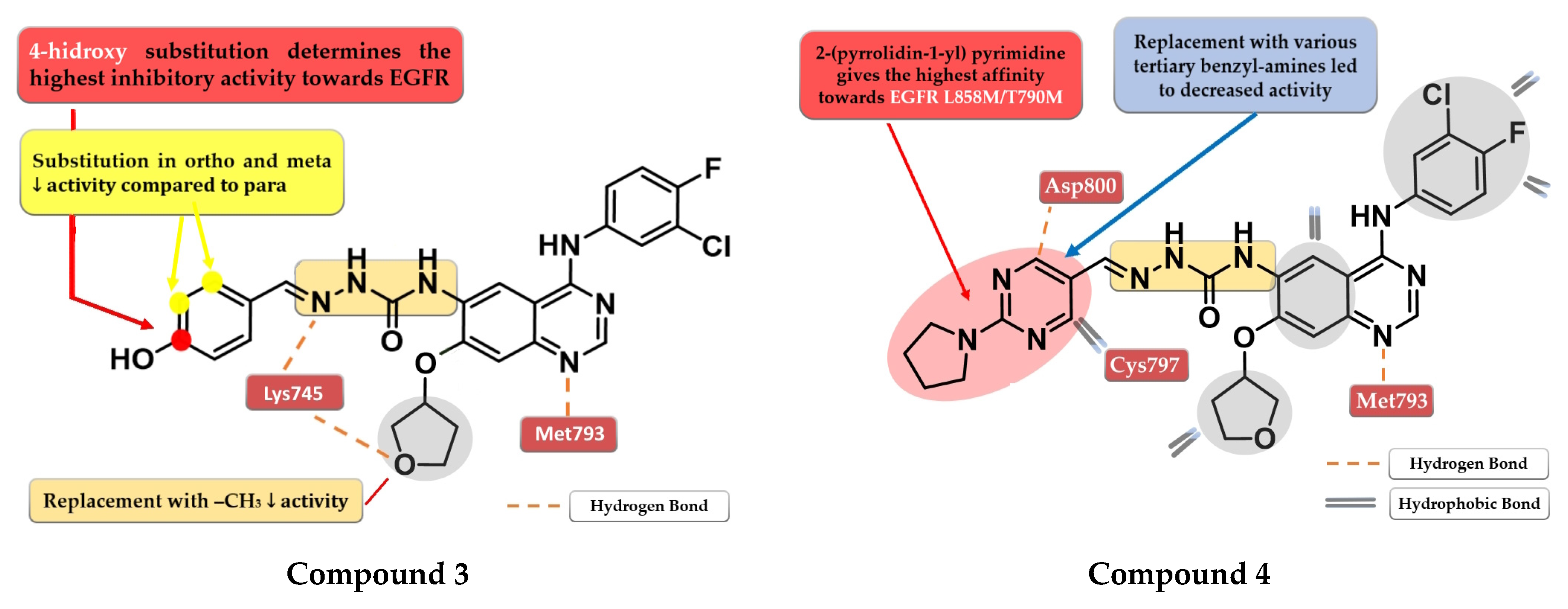 Pharmaceuticals 16 00534 g004