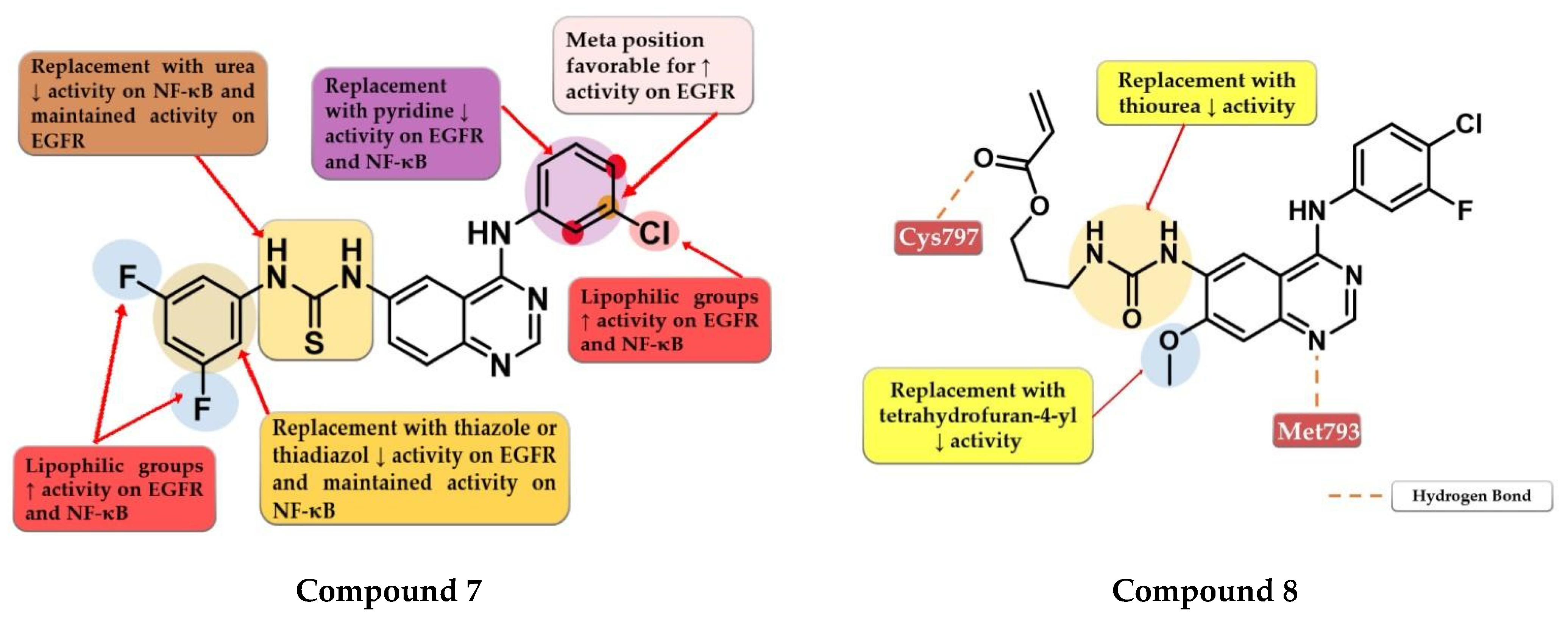 Pharmaceuticals 16 00534 g006