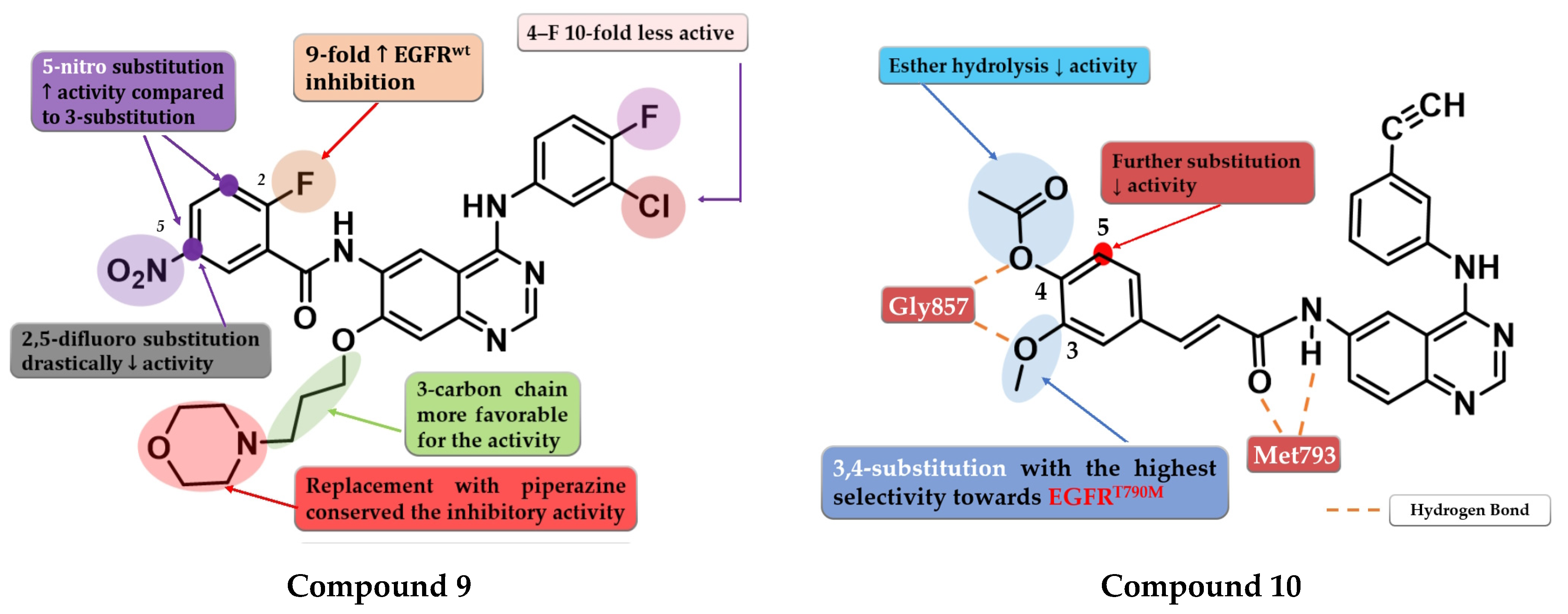 Pharmaceuticals 16 00534 g007