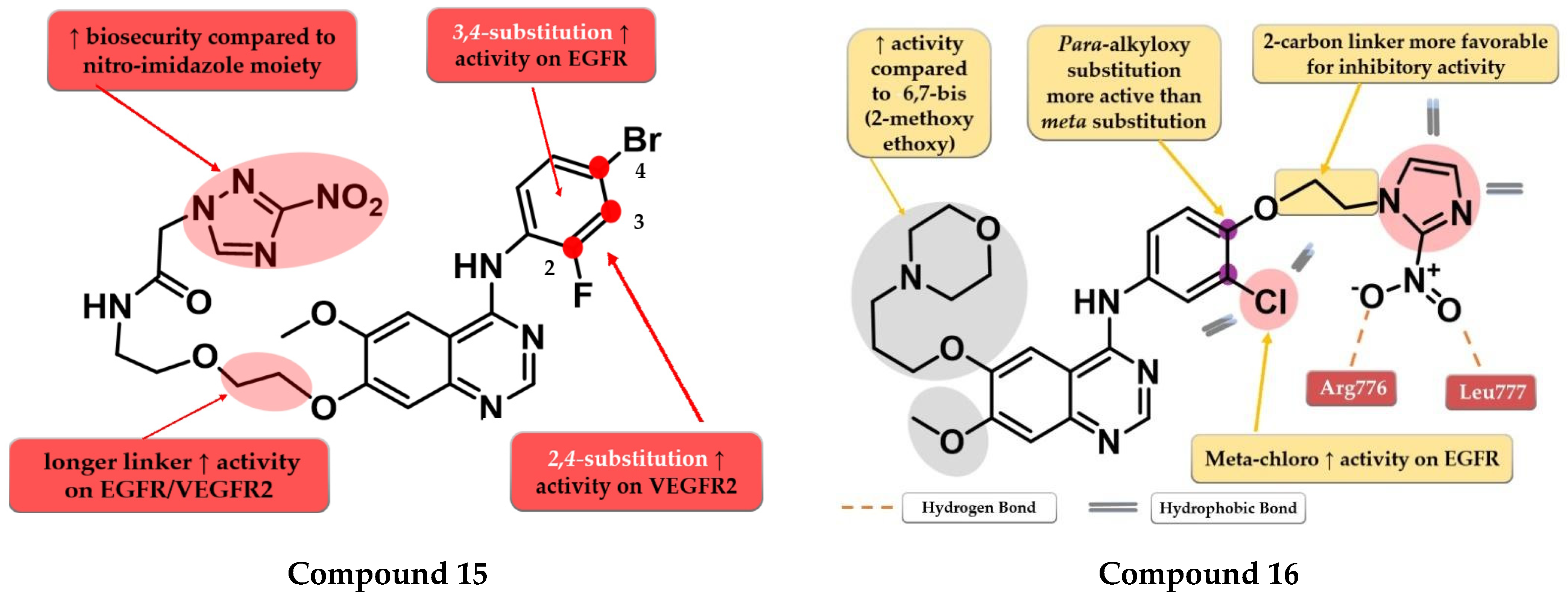 Pharmaceuticals | Free Full-Text | Structure–Activity Relationship ...