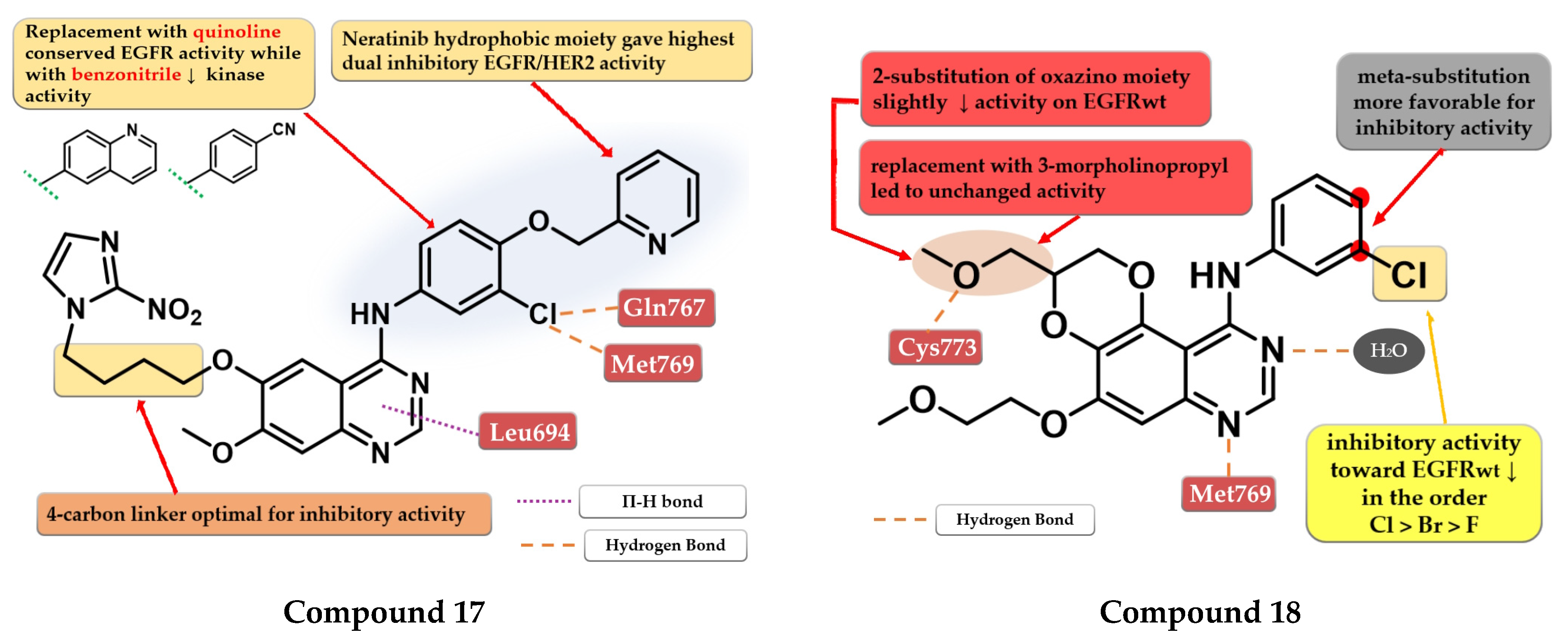 Pharmaceuticals 16 00534 g011