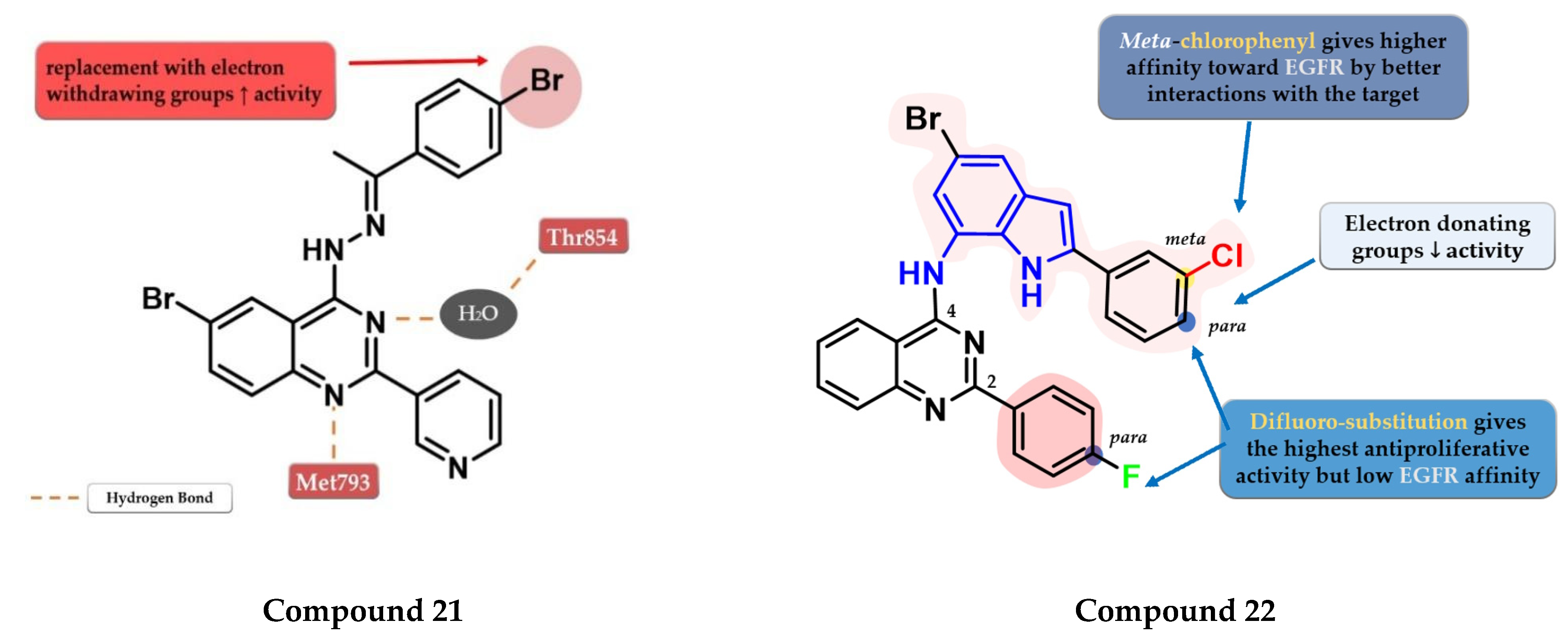 Pharmaceuticals 16 00534 g013