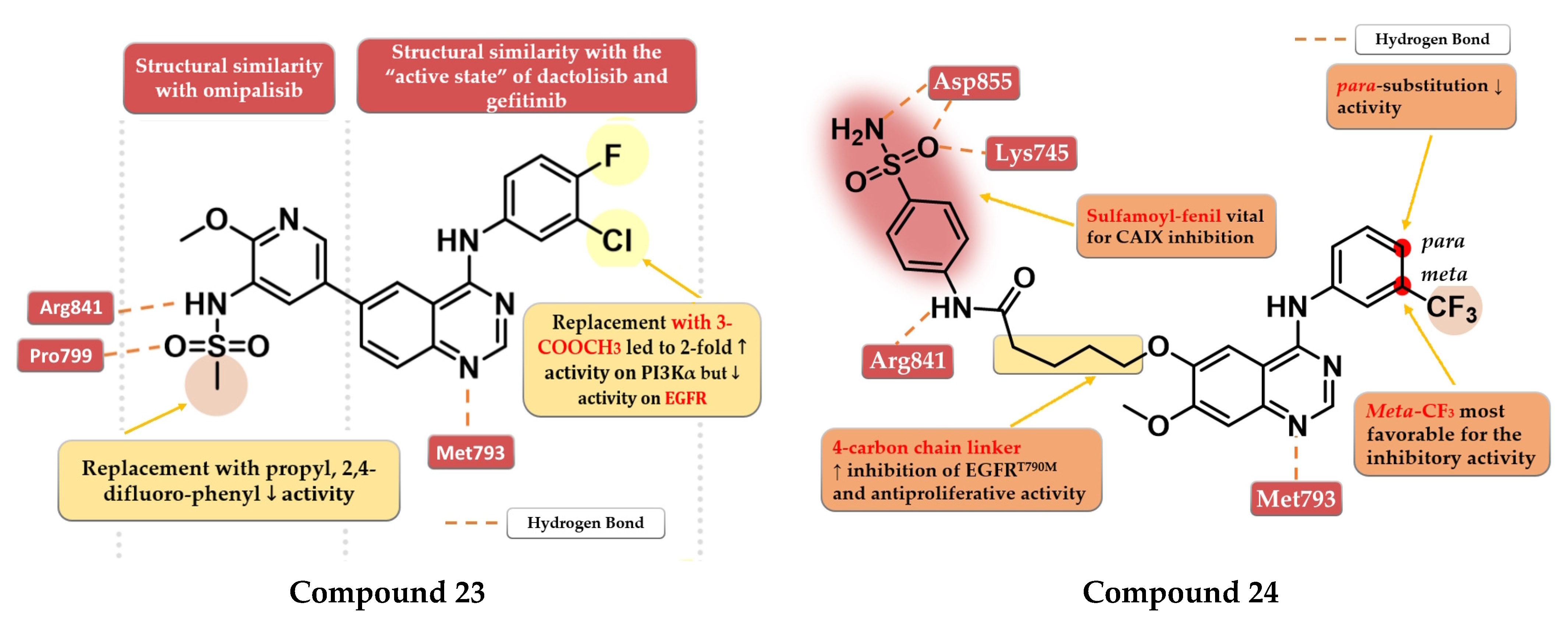 Pharmaceuticals | Free Full-Text | Structure–Activity Relationship ...