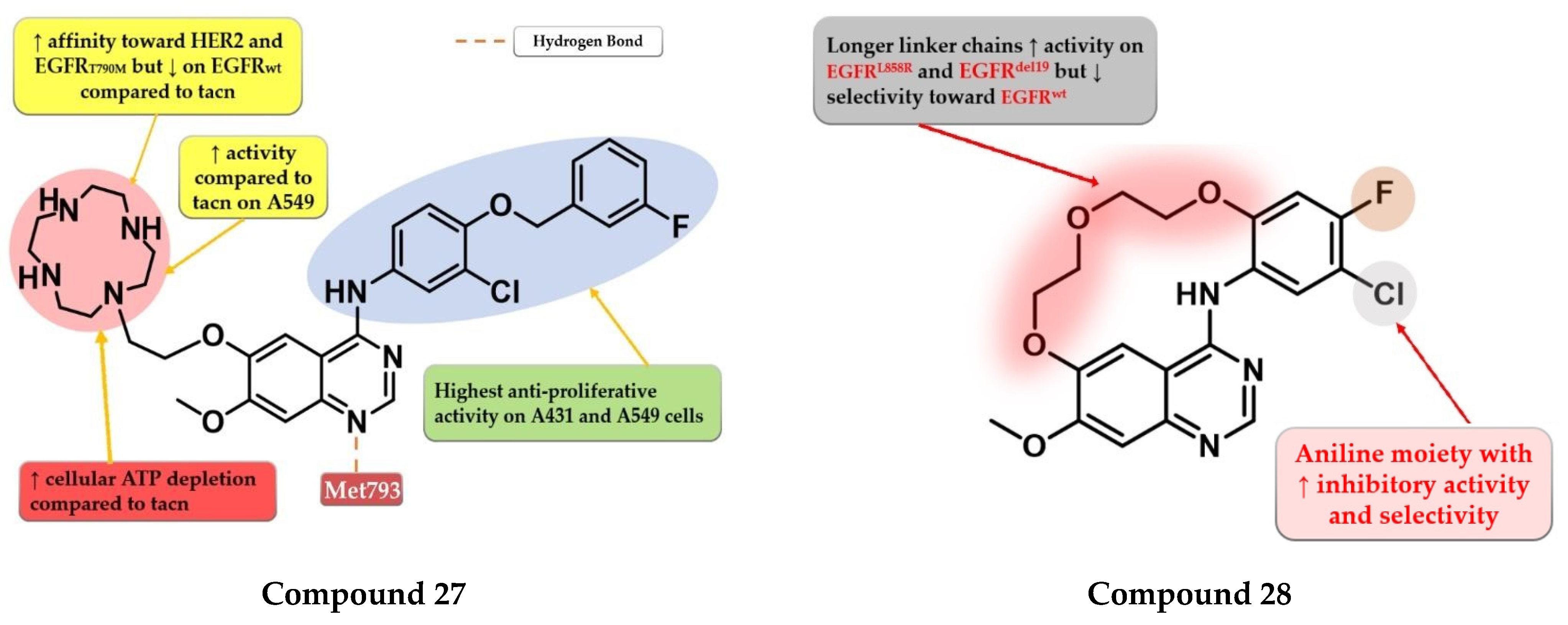 Pharmaceuticals 16 00534 g016