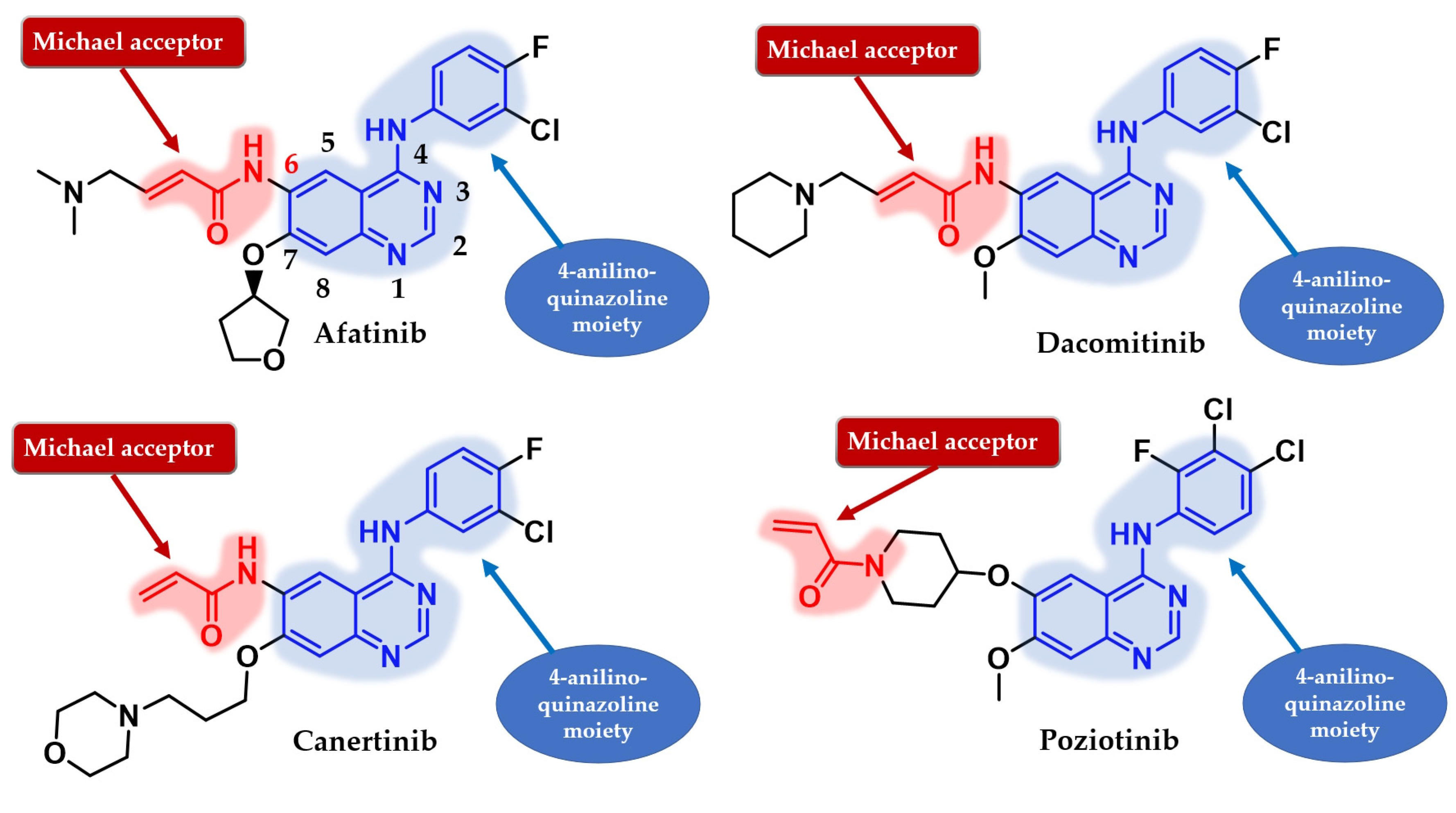 Pharmaceuticals 16 00534 g019