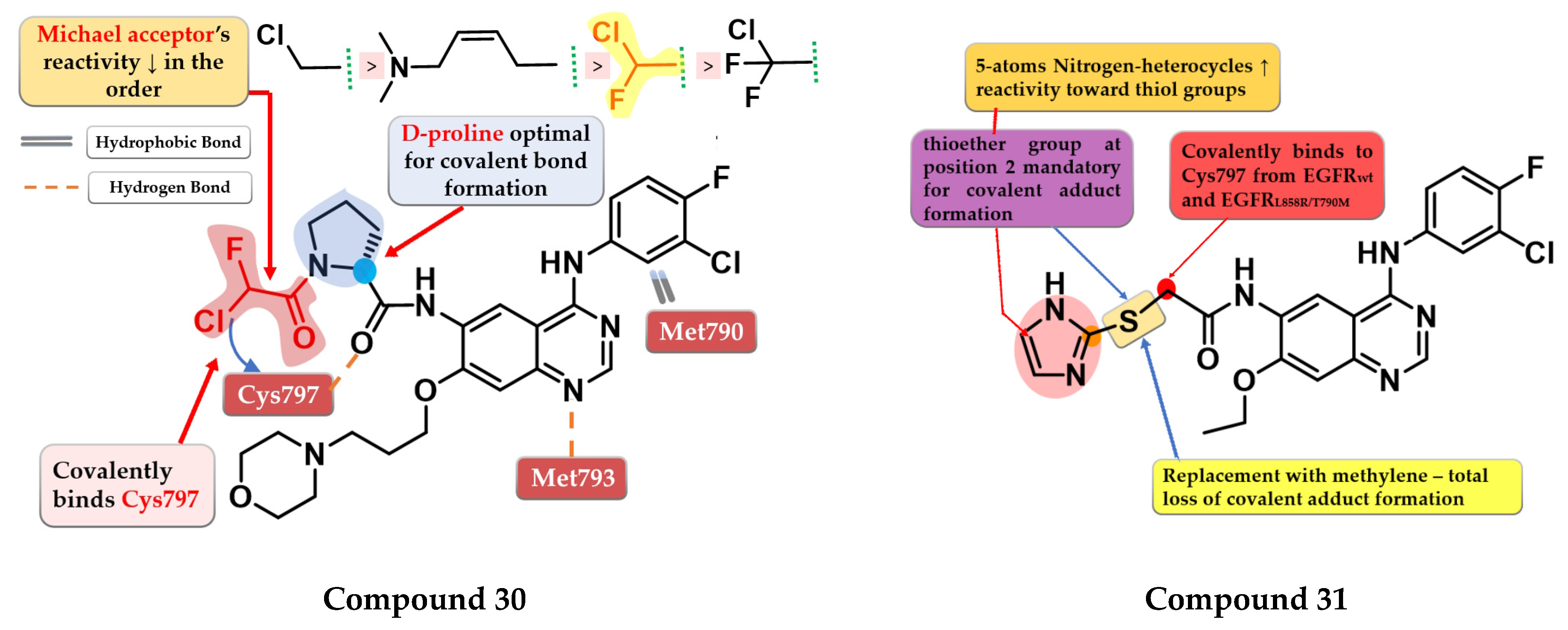 Pharmaceuticals 16 00534 g021