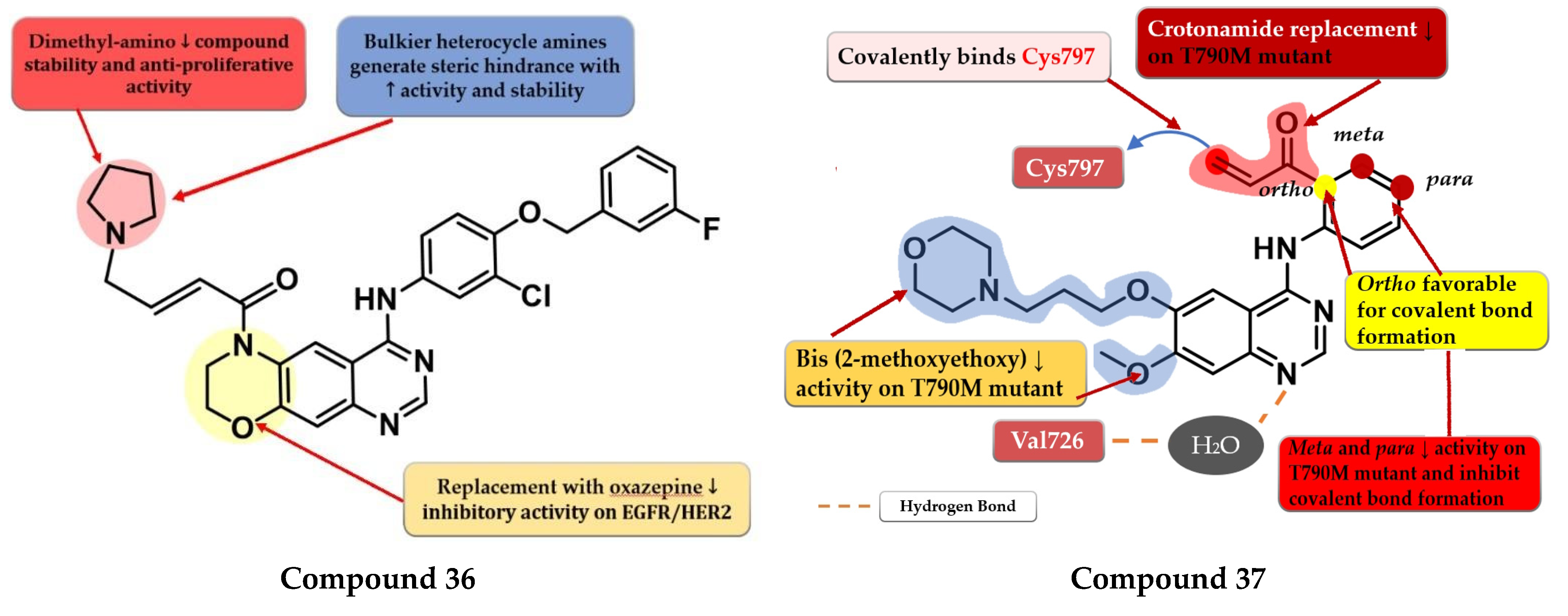 Pharmaceuticals 16 00534 g024