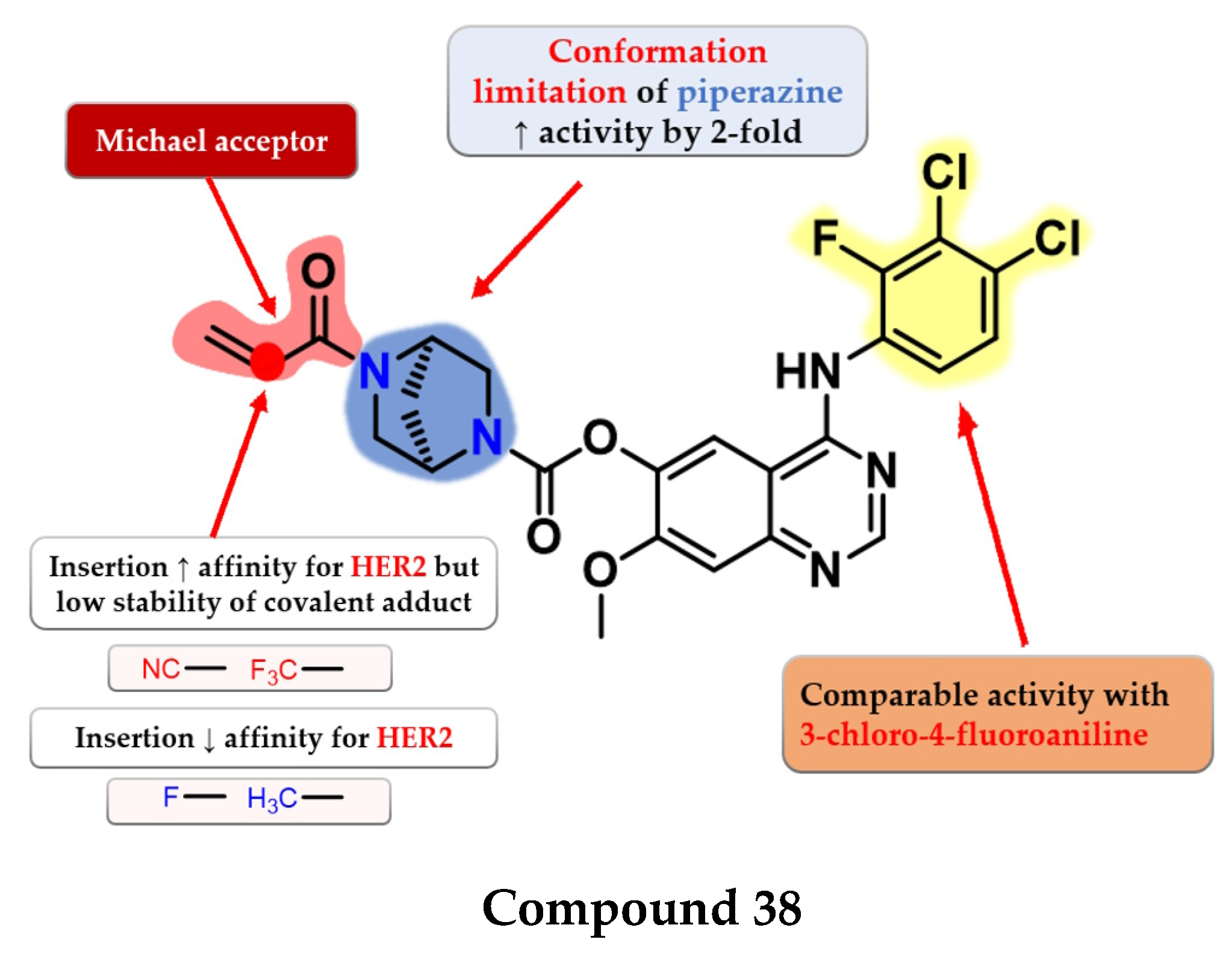 Pharmaceuticals 16 00534 g025