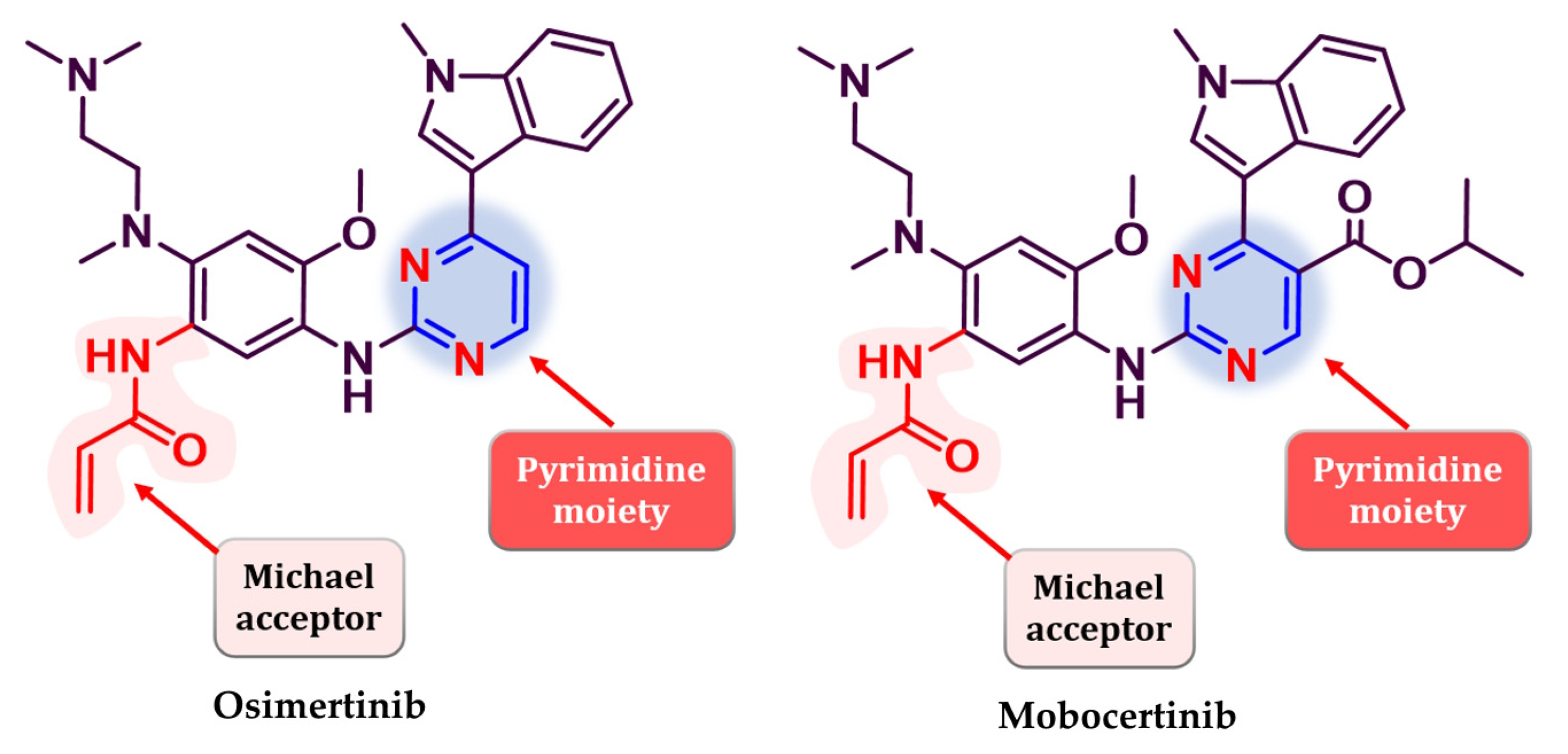 Pharmaceuticals 16 00534 g026