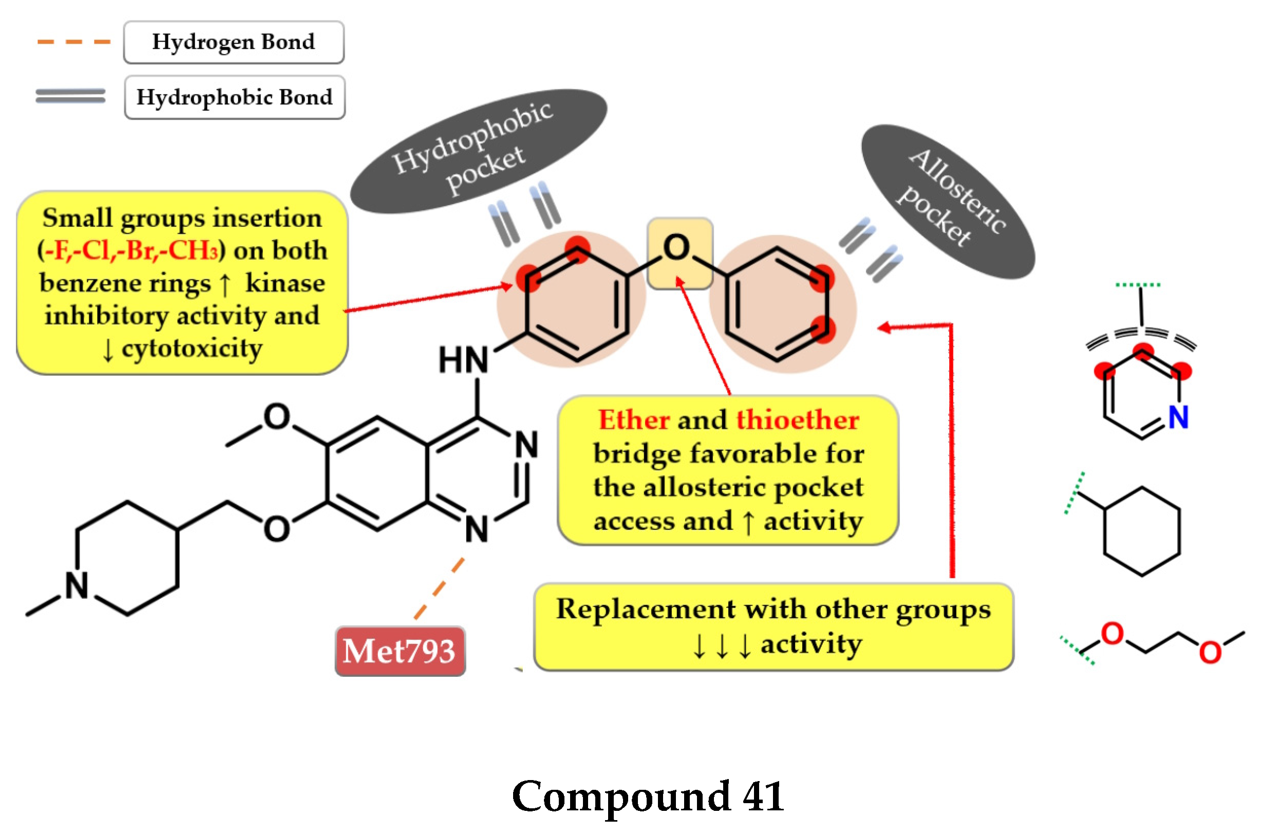 Pharmaceuticals 16 00534 g029