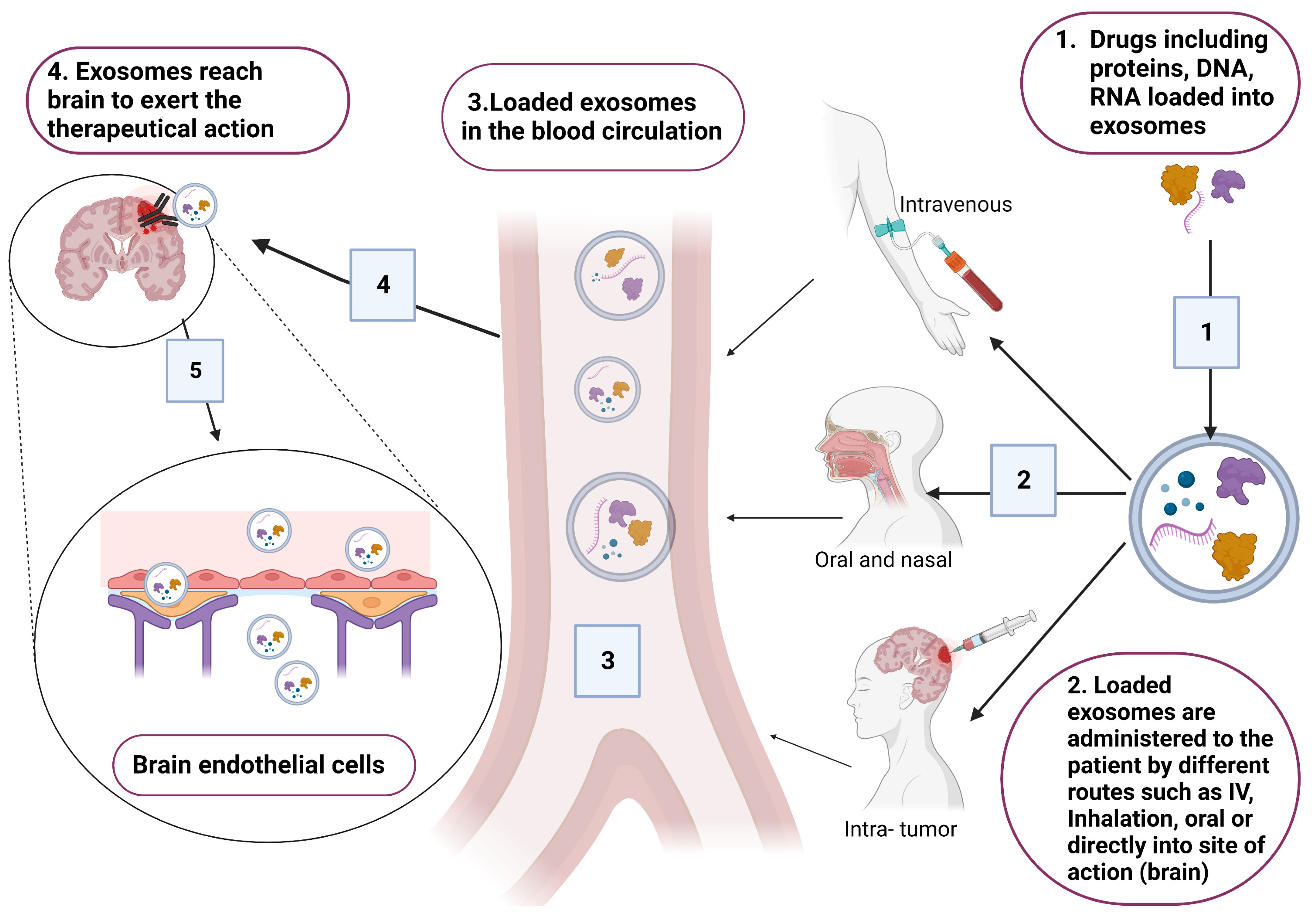 Pharmaceuticals 16 00571 g004