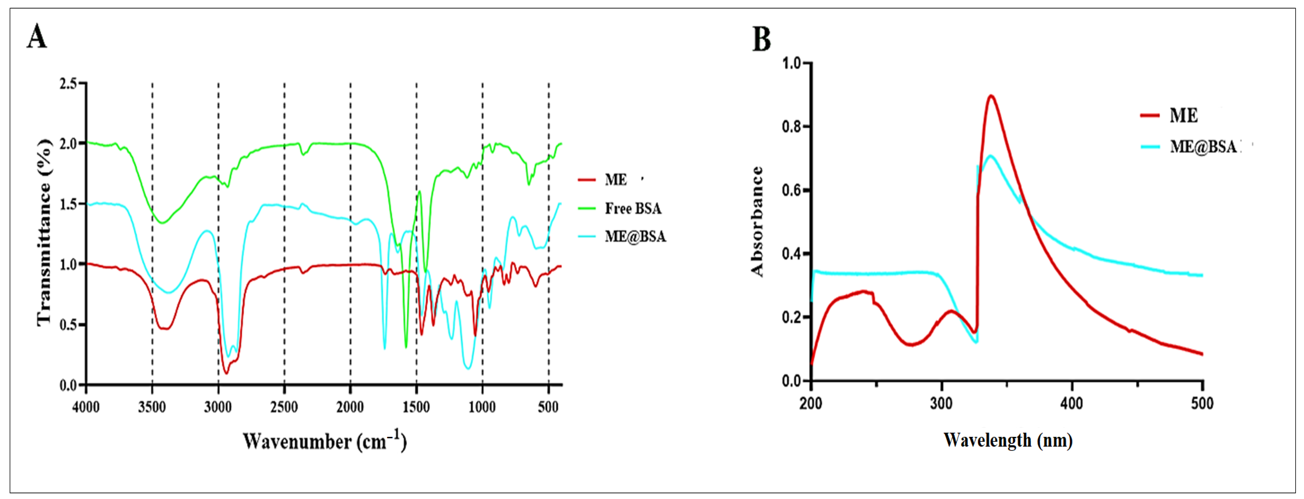 Pharmaceuticals 16 00582 g003 Pharmaceuticals 16 00582 g003