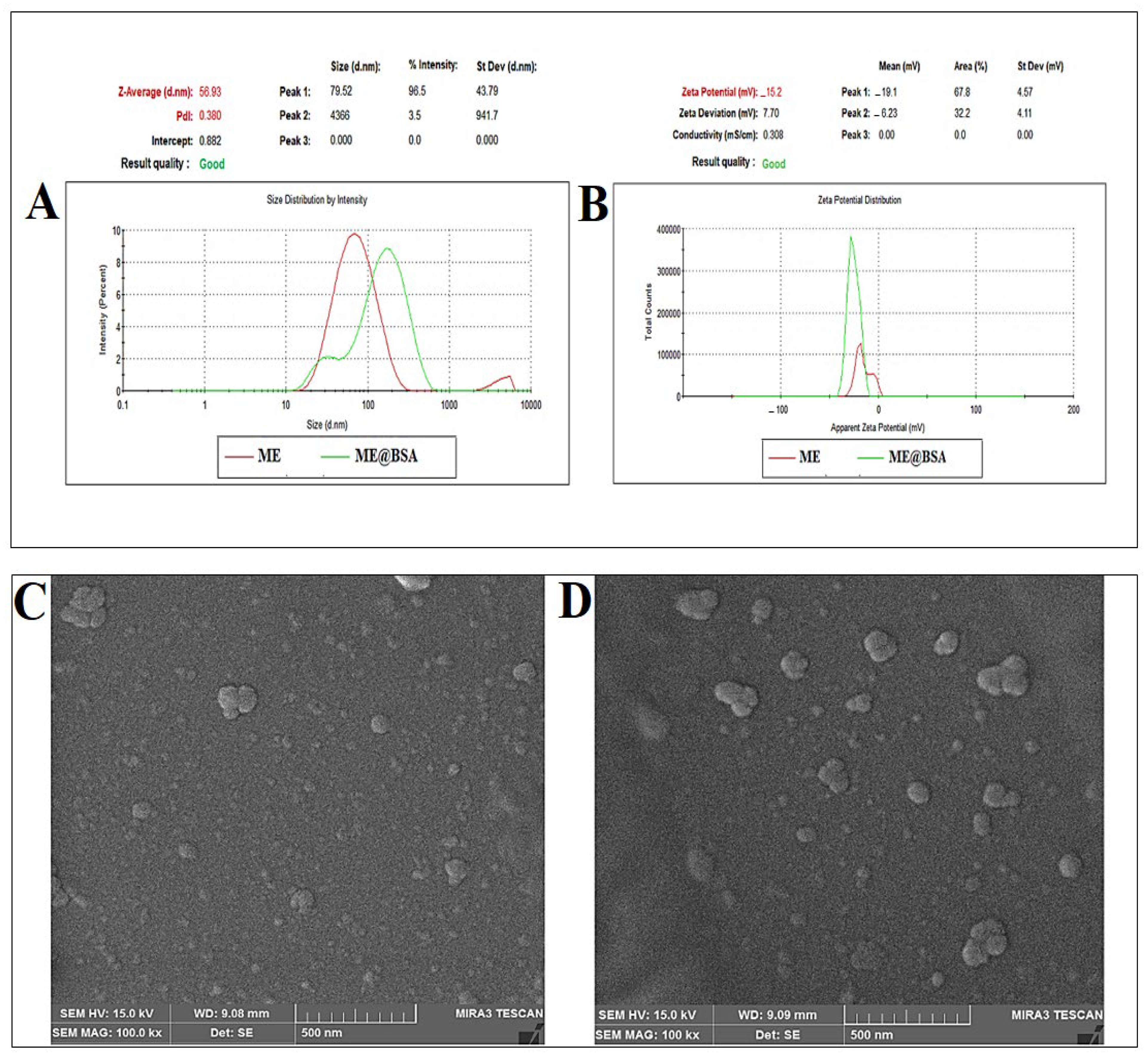 Pharmaceuticals 16 00582 g004 Pharmaceuticals 16 00582 g004