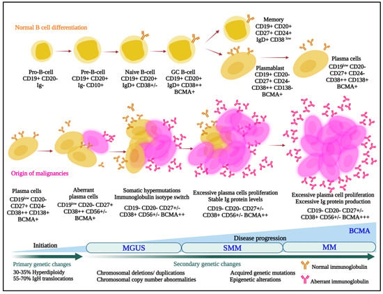 Pharmaceuticals | Free Full-Text | Antibody–Drug Conjugates