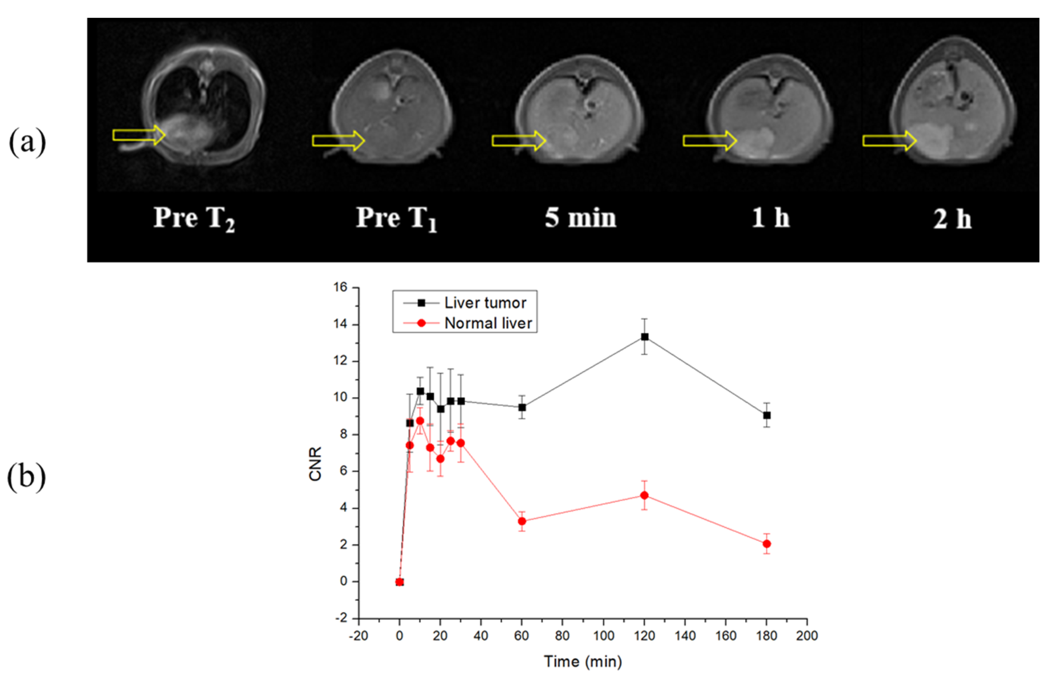 Pharmaceuticals 16 00602 g006