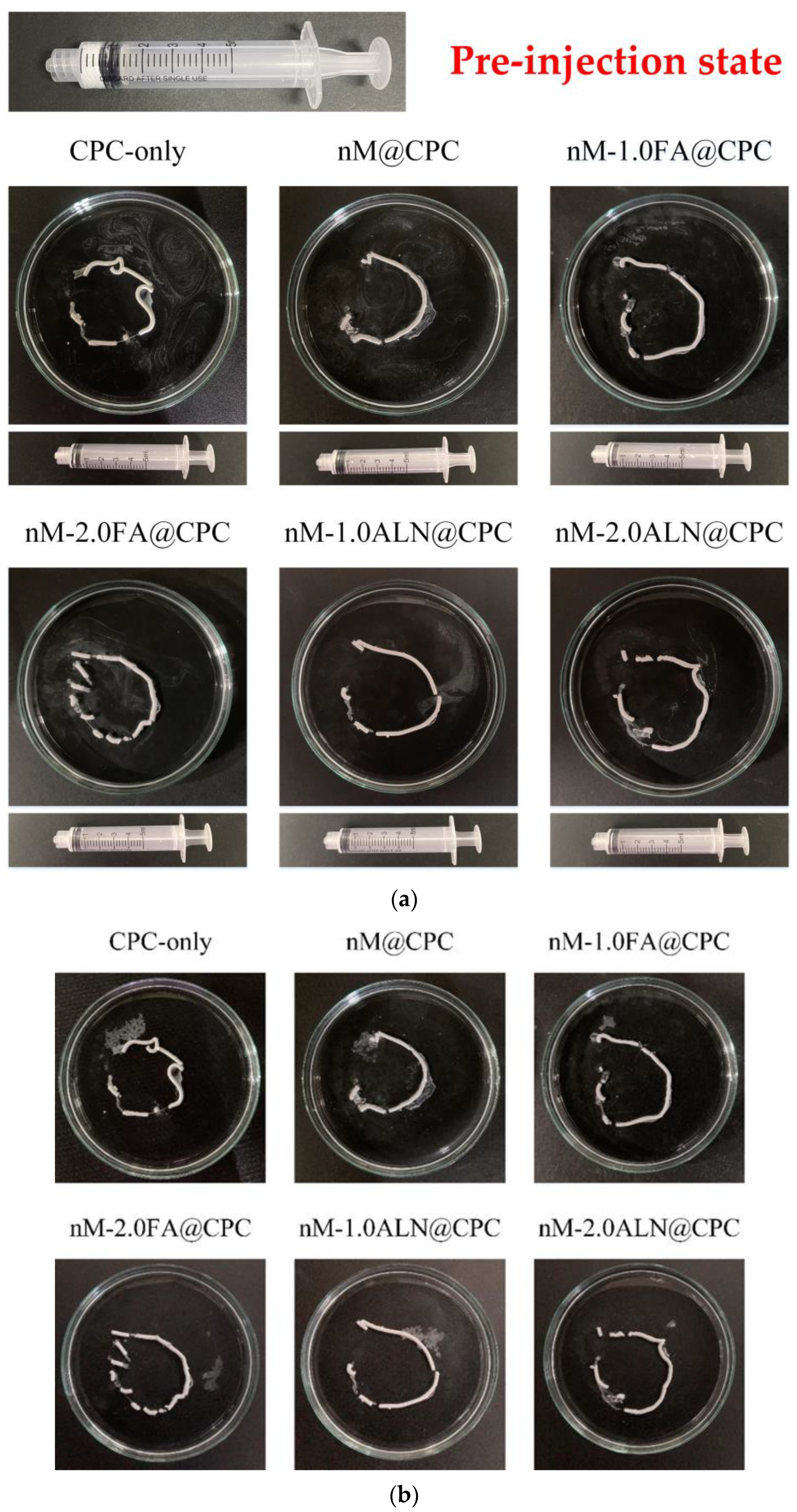 Pharmaceuticals 16 00680 g003