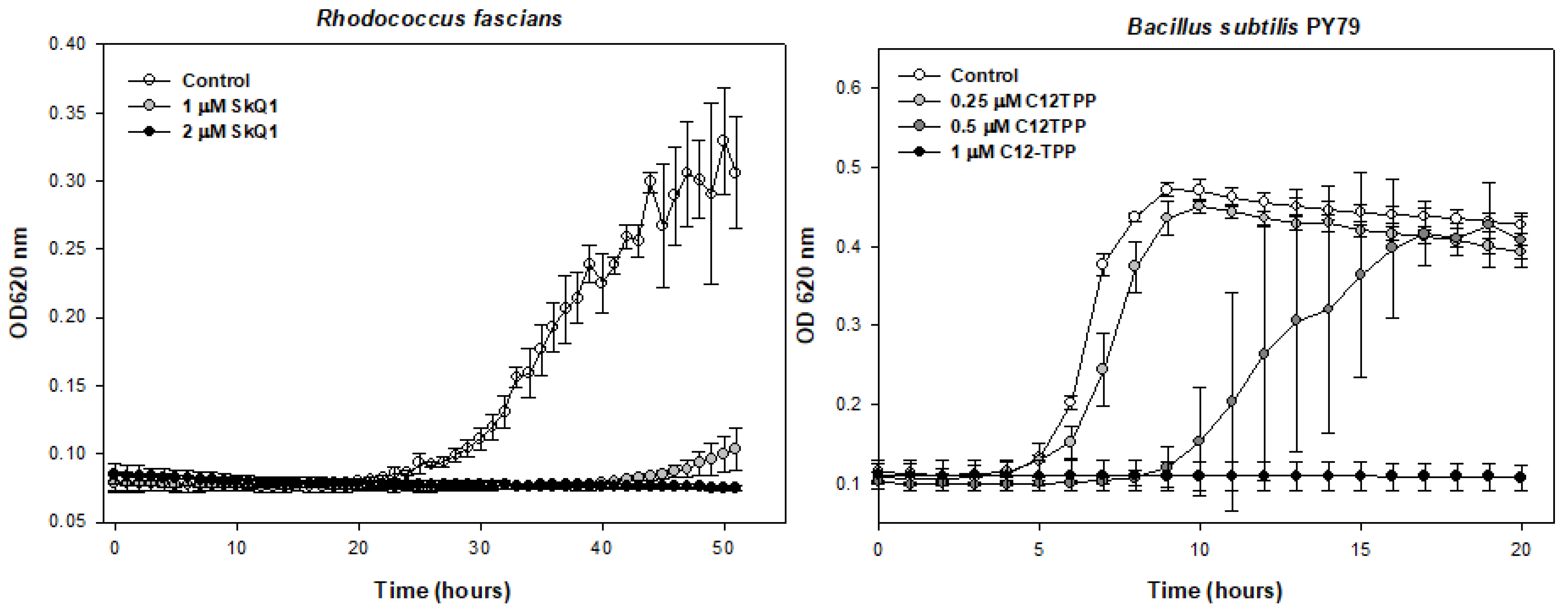 Pharmaceuticals 16 00688 g003 Pharmaceuticals 16 00688 g003