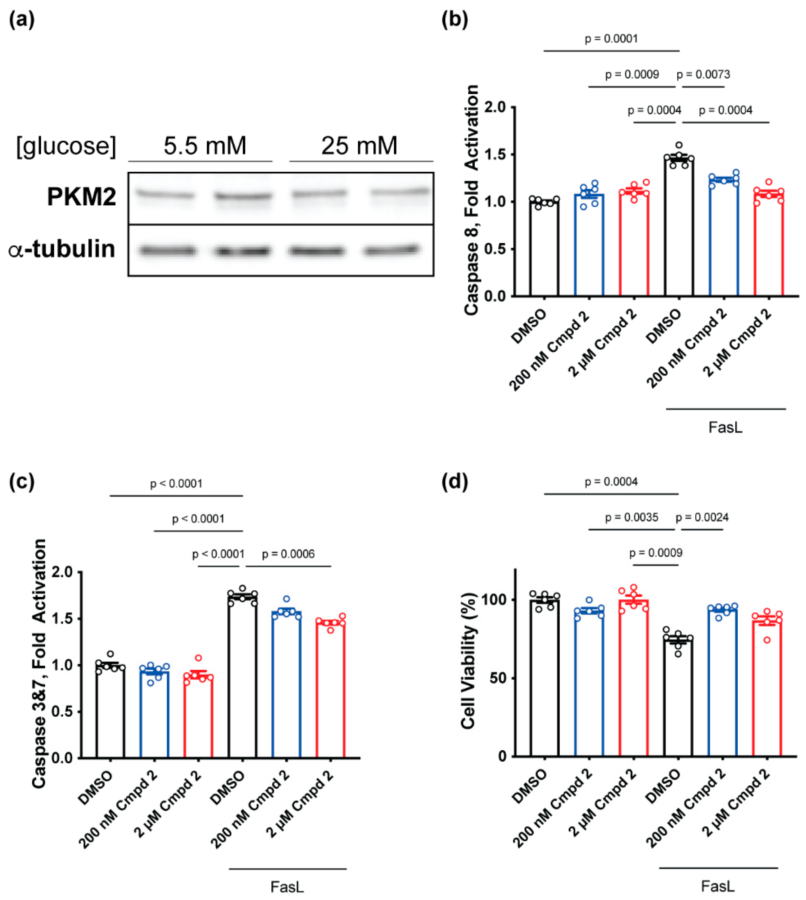 Pharmaceuticals 16 00705 g004