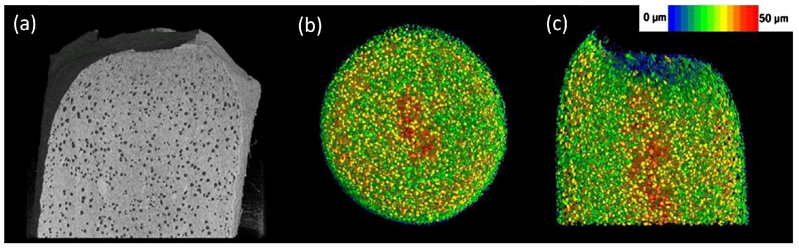 Pharmaceuticals 16 00733 g002