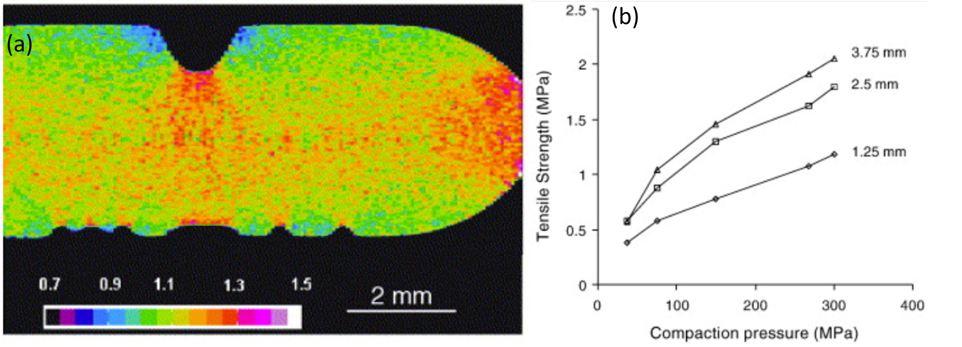 Pharmaceuticals 16 00733 g003