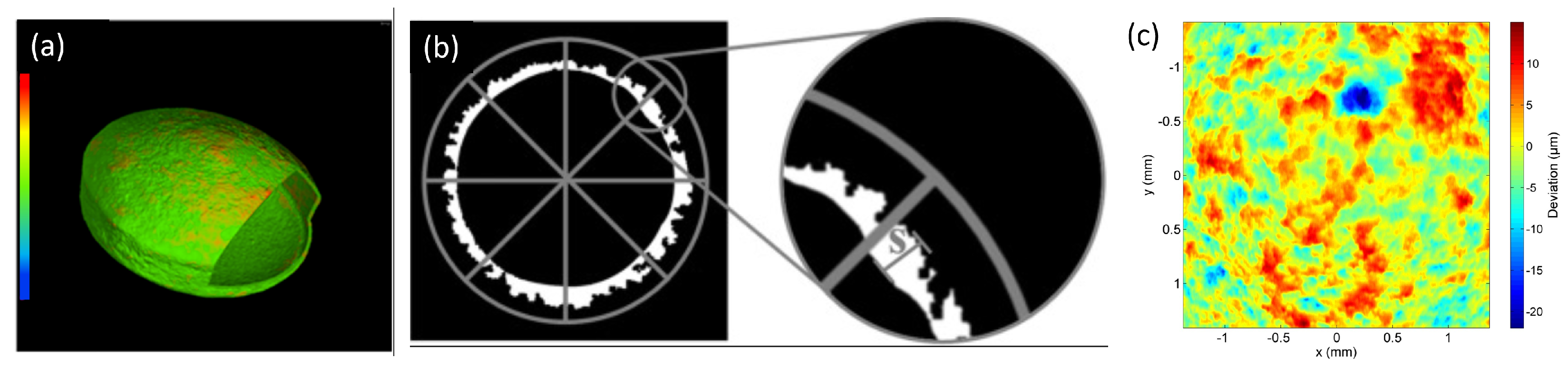 Pharmaceuticals 16 00733 g008