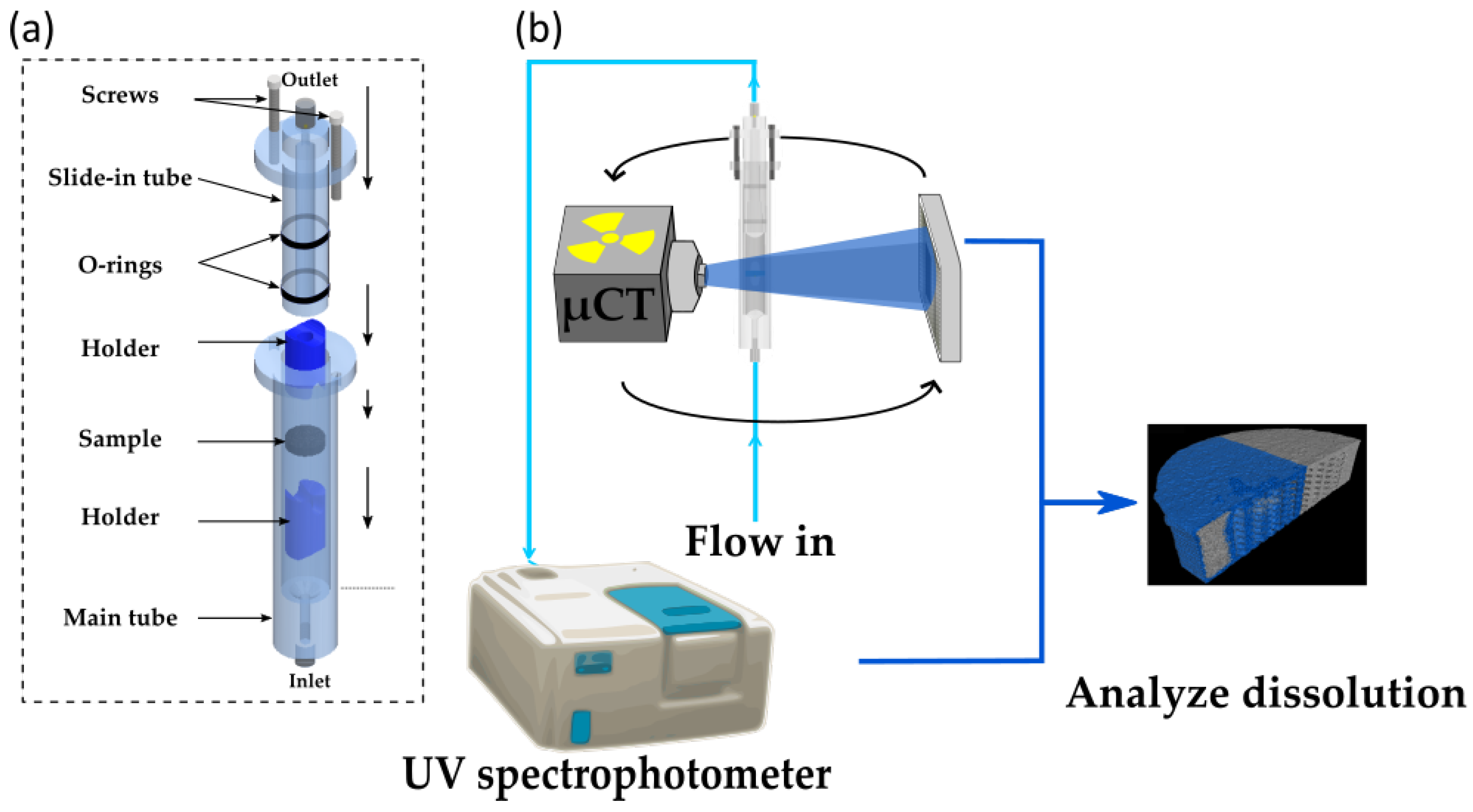 Pharmaceuticals 16 00733 g010