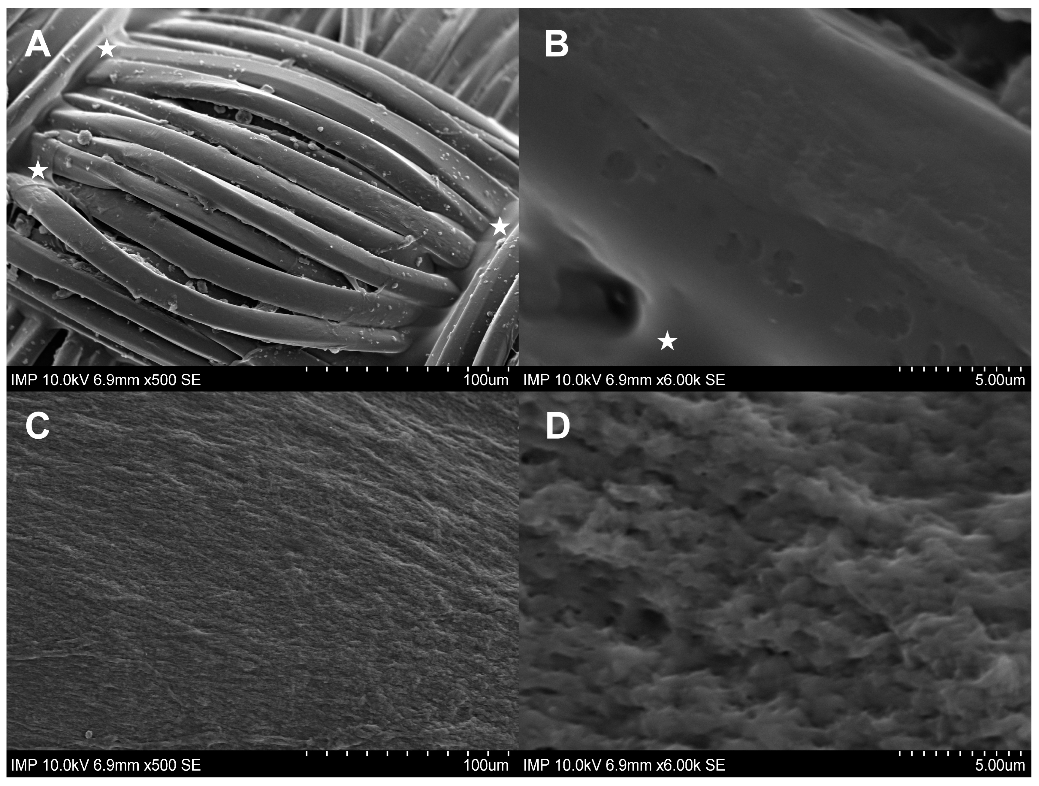 Pharmaceuticals 16 00744 g001