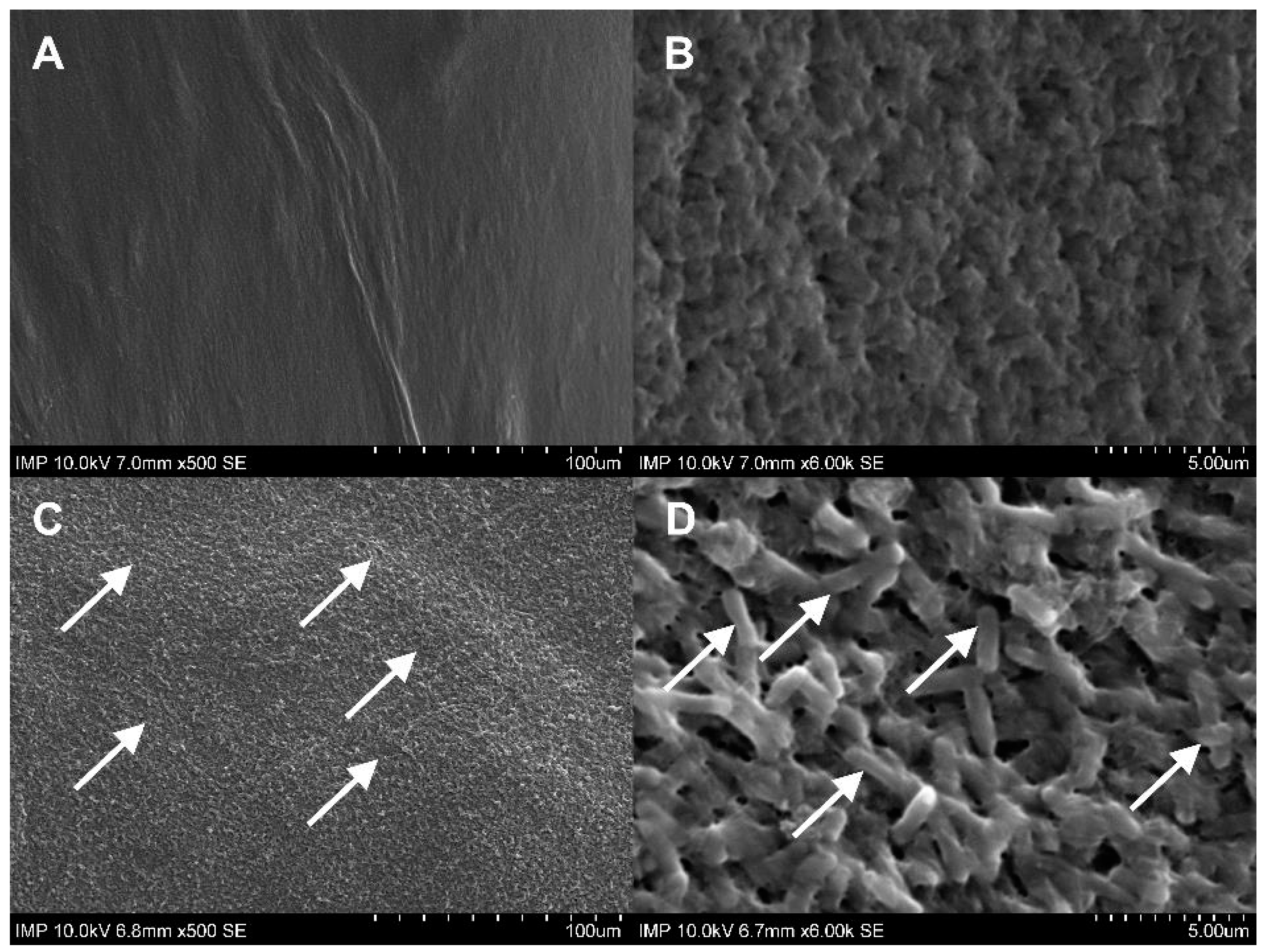 Pharmaceuticals 16 00744 g009