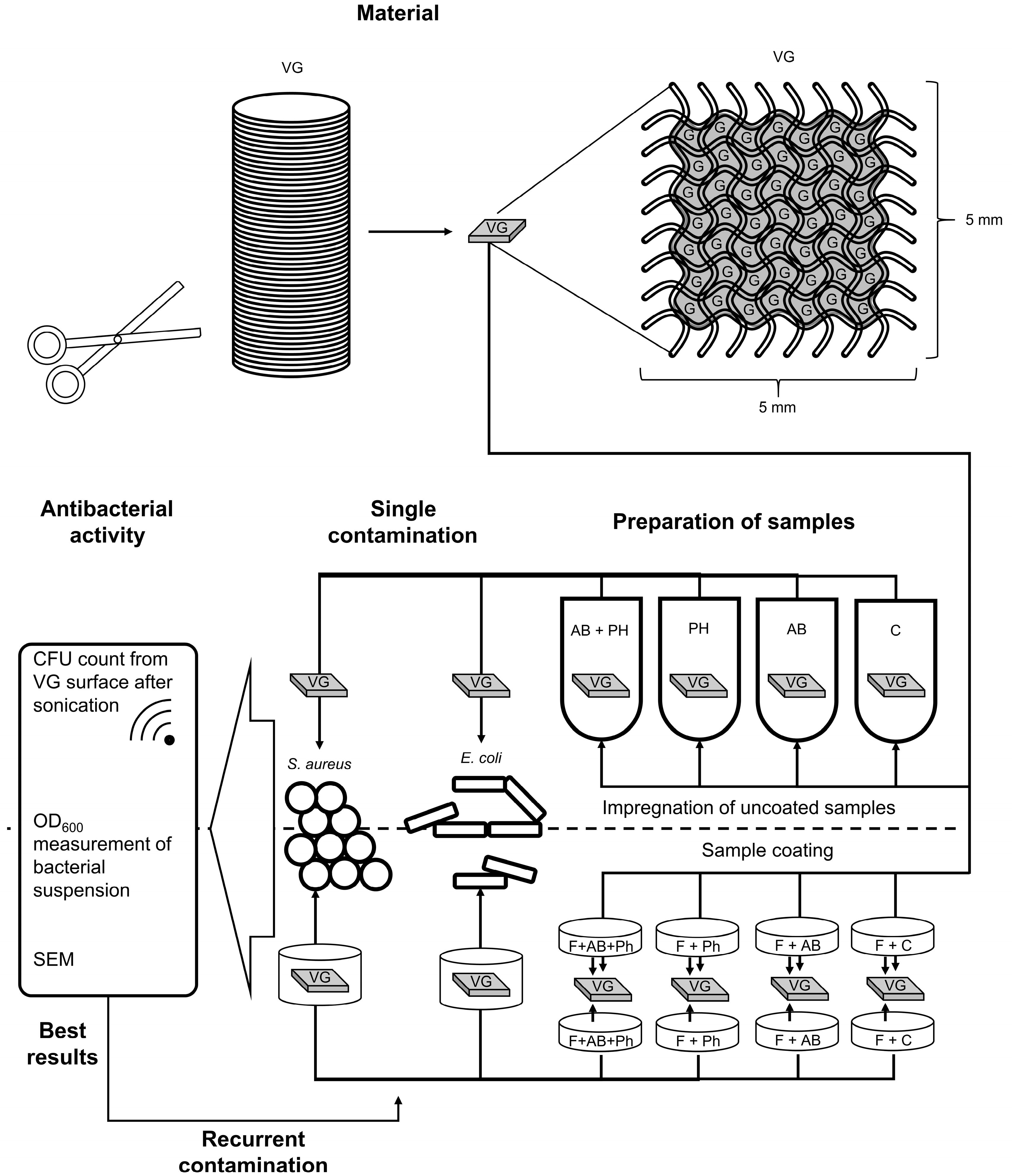 Pharmaceuticals 16 00744 g011