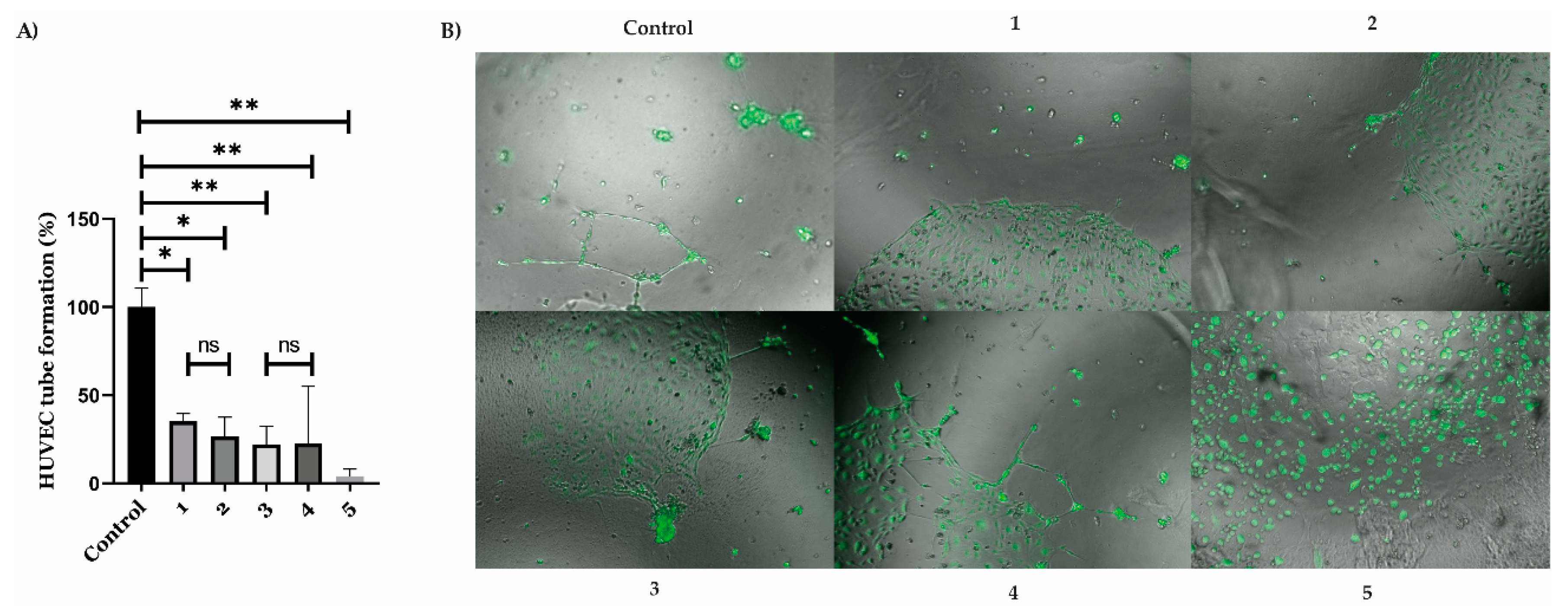 Pharmaceuticals 16 00751 g007 Pharmaceuticals 16 00751 g007
