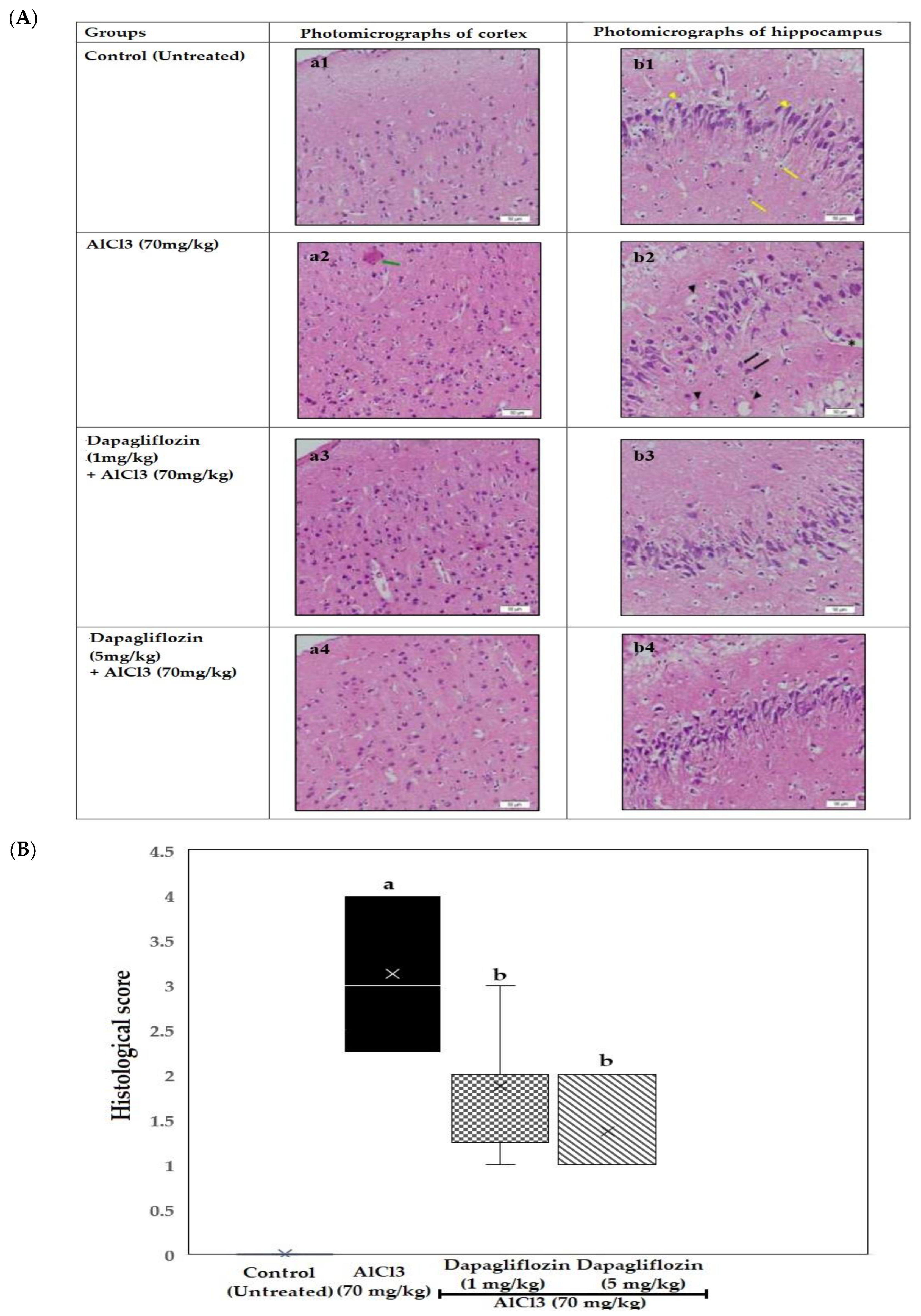 Pharmaceuticals 16 00753 g004 Pharmaceuticals 16 00753 g004