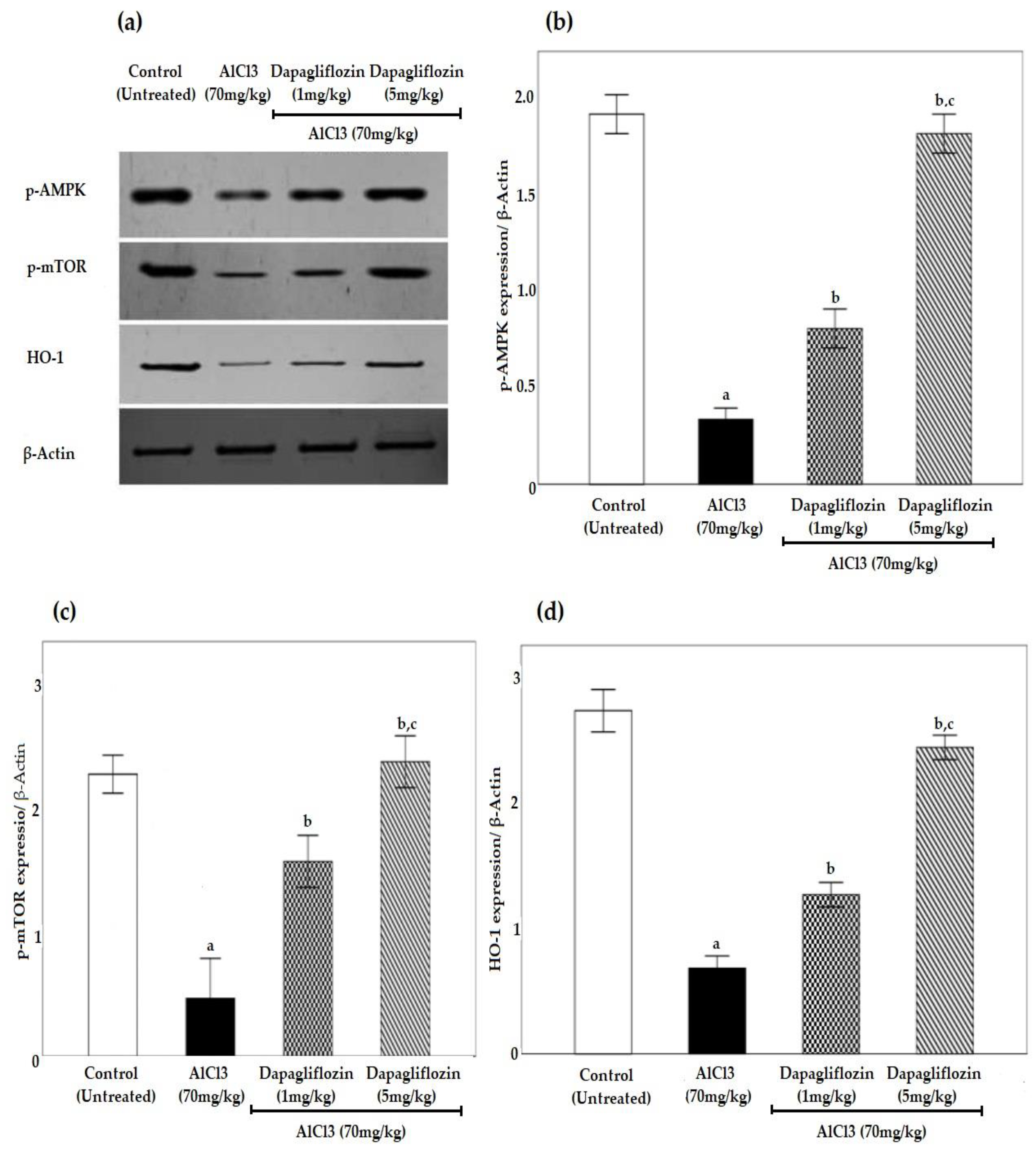 Pharmaceuticals 16 00753 g006 Pharmaceuticals 16 00753 g006