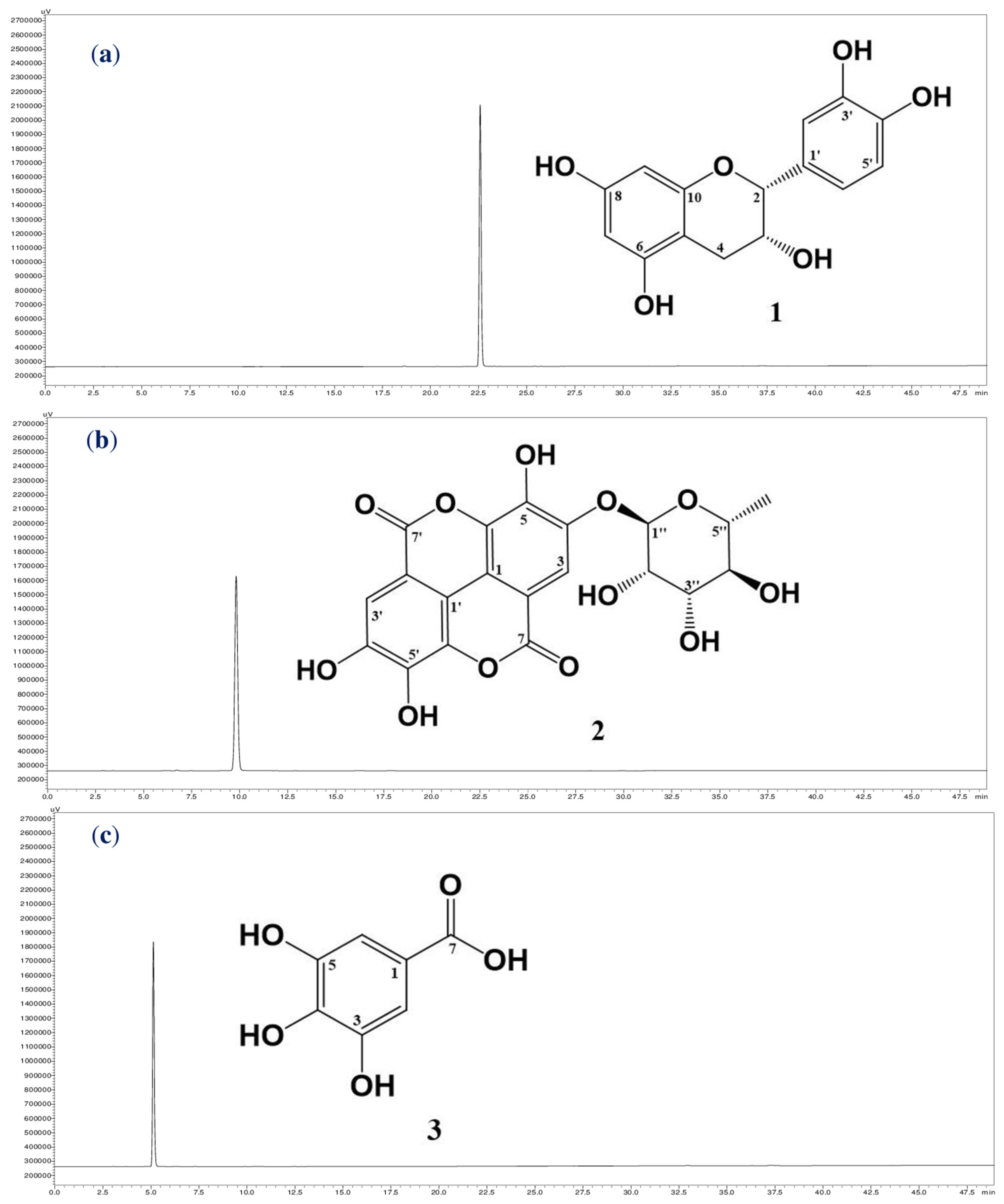 Pharmaceuticals 16 00756 g001