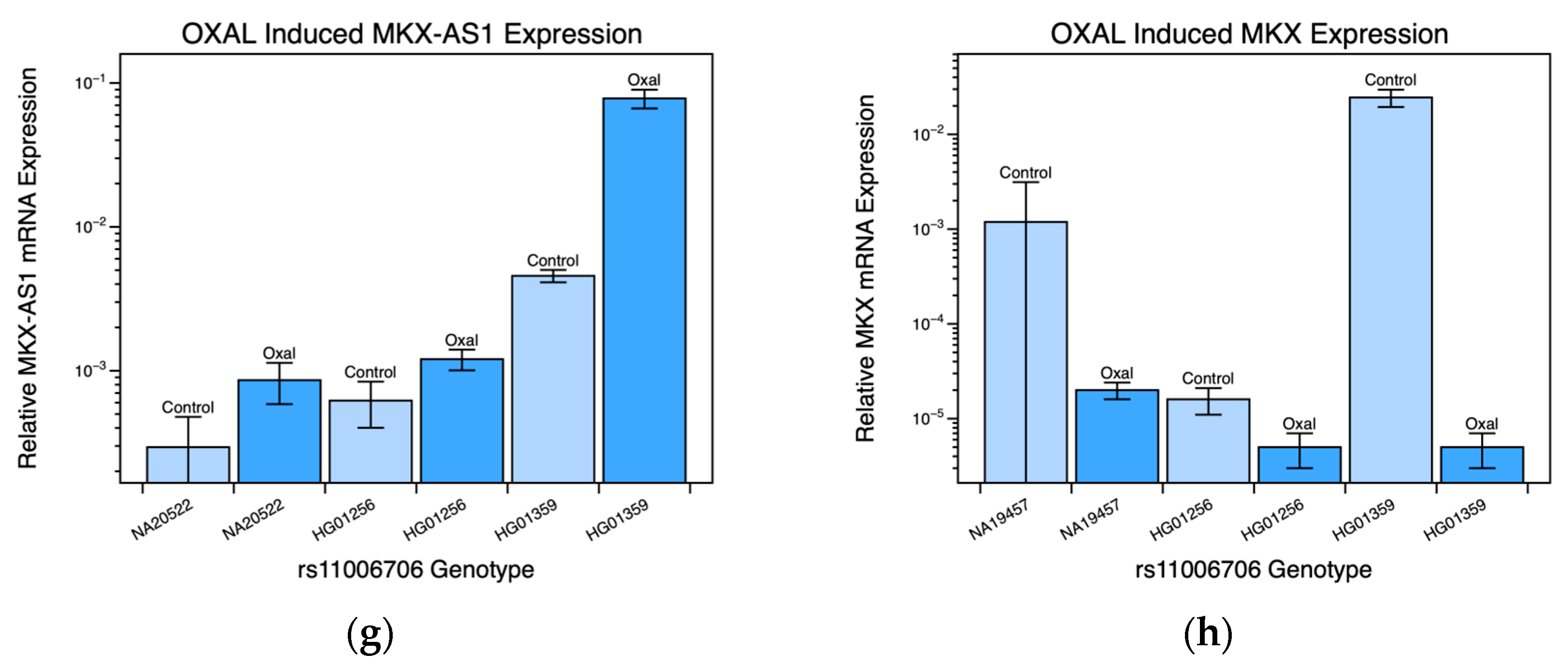 Pharmaceuticals 16 00757 g002b Pharmaceuticals 16 00757 g002b